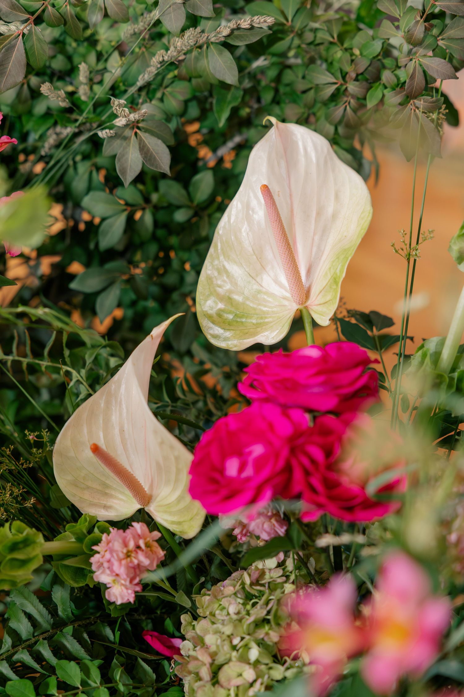 Close-up of white anthurium and vibrant pink roses in lush green floral arrangement.