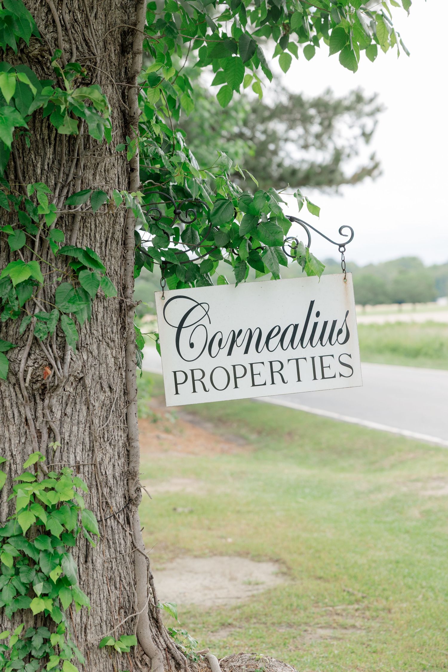 Elegant white entrance sign that reads 'Cornelius Properties' hanging from a tree branch with green leaves.