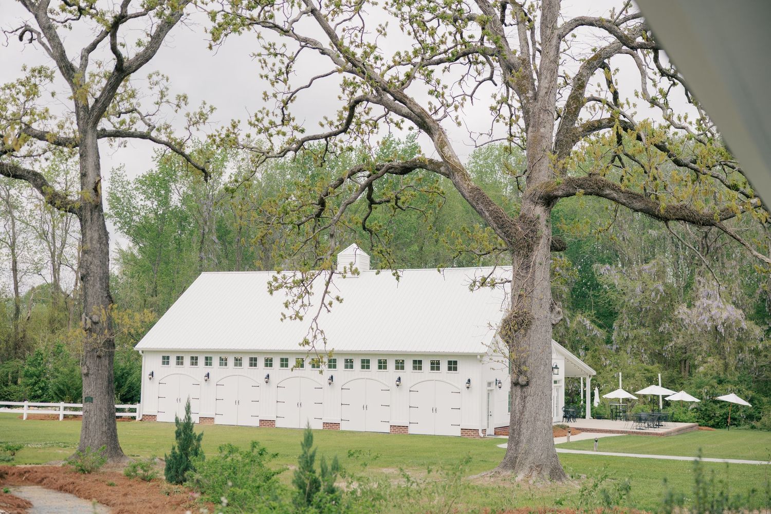 A row of elegant white wedding tents set up under oak trees in a lush green park for an outdoor event.