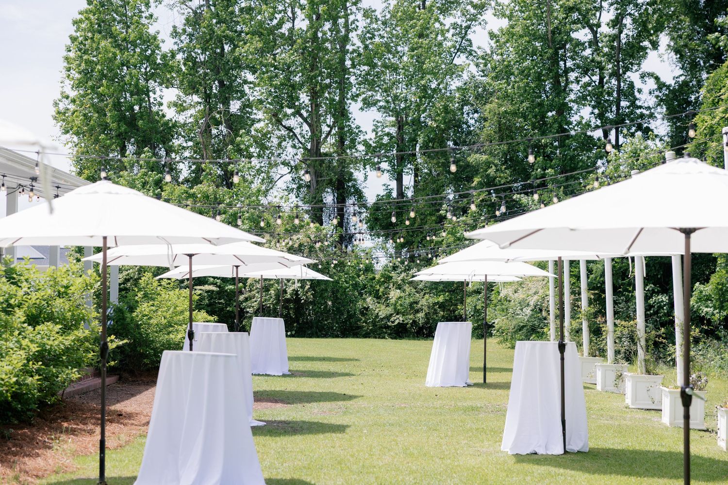 White event tents and umbrellas are set up on a grassy lawn surrounded by tall green trees on a sunny day.