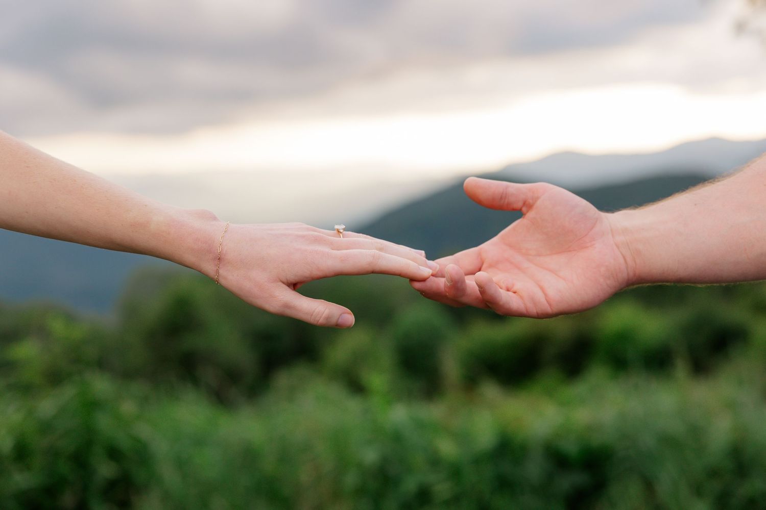 Two hands reaching towards each other against a blurred green natural background in a connecting gesture.