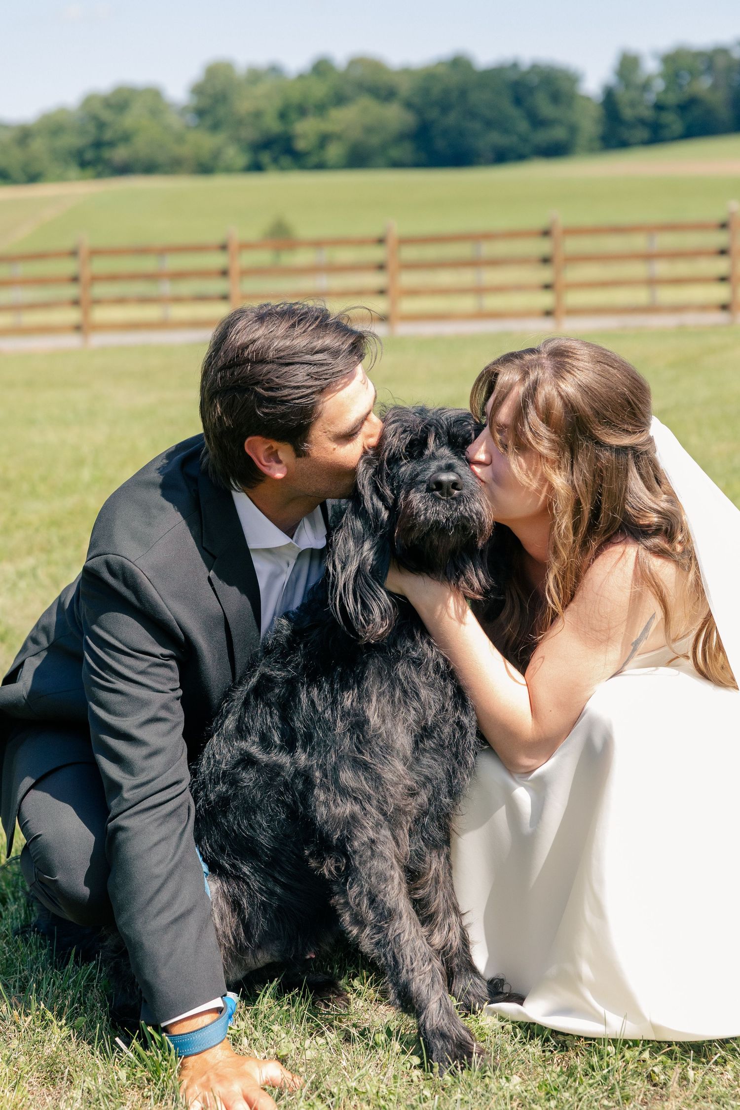 Bride and groom sitting on grass kissing their black schnauzer dog with a farm fence in background.
