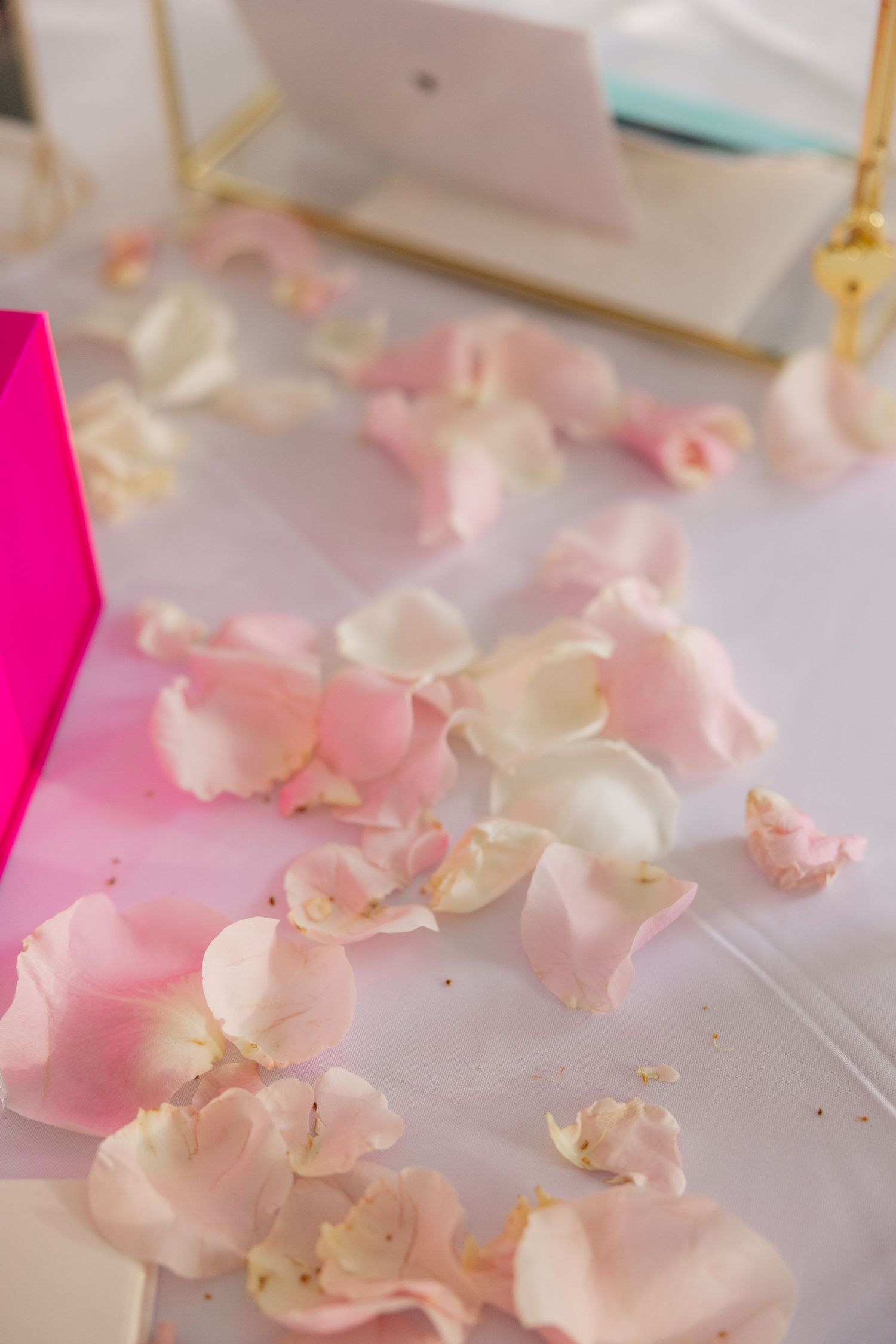 Soft pink and white rose petals scattered on white surface create romantic wedding decoration.