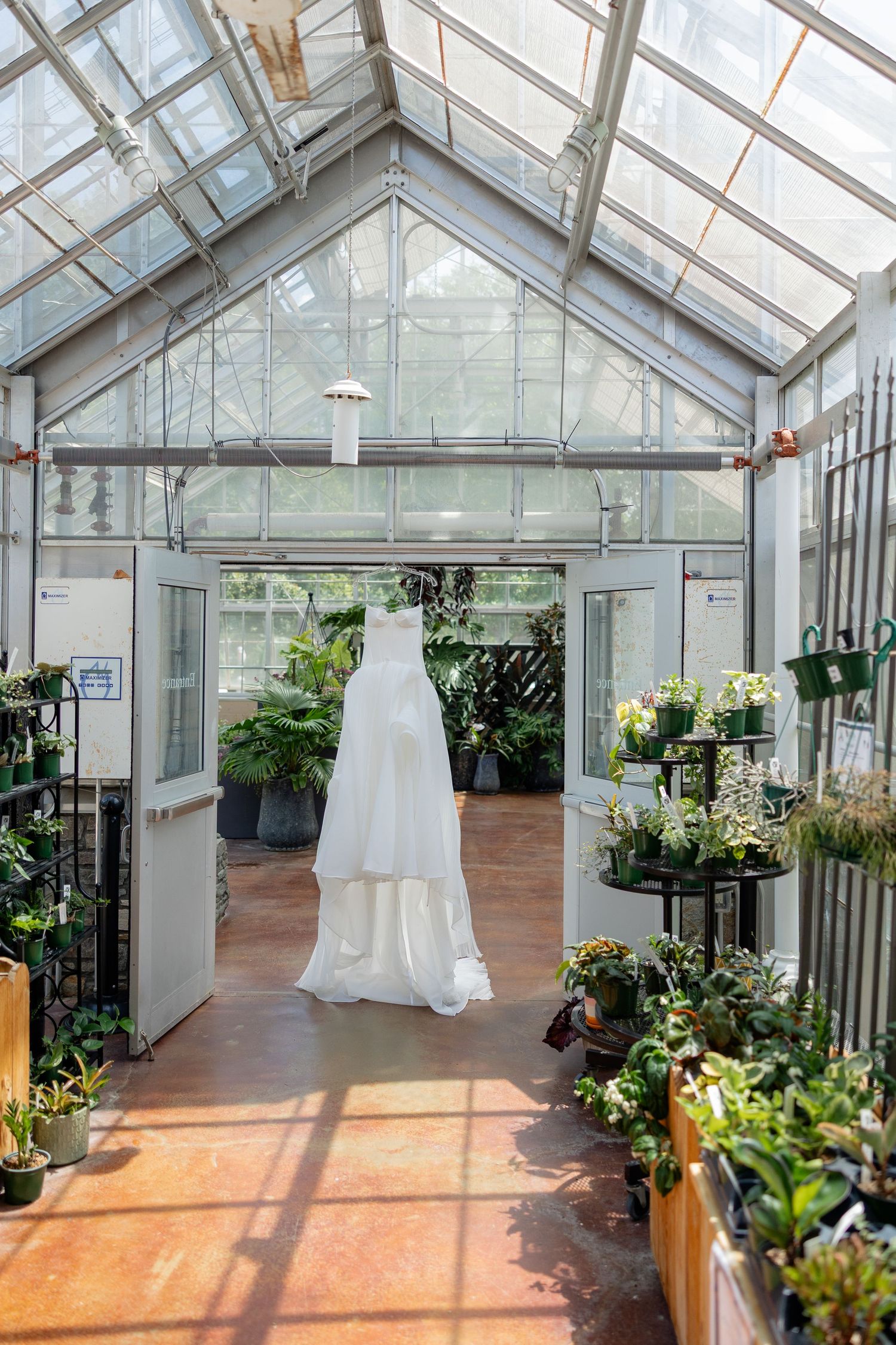 Interior view of a sunlit greenhouse with white wedding dresses displayed among lush plants and terracotta flooring.