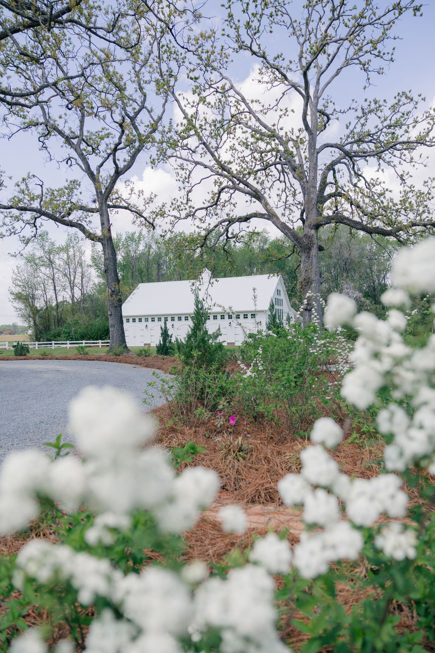 White barn building with blooming spring flowers in foreground and tall trees against cloudy sky.