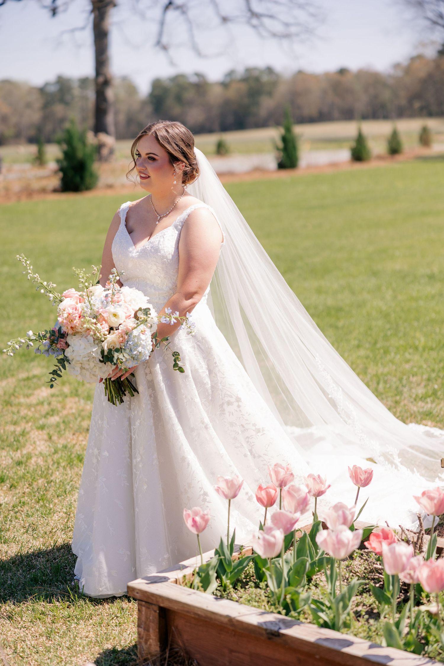 A bride in a white lace gown stands next to pink tulips in a garden setting with a flowing veil and bouquet.