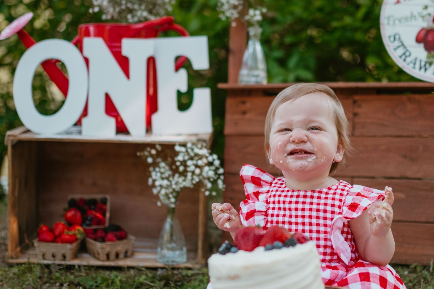 Baby in red gingham dress smiles near 'ONE' sign and white cake at outdoor celebration.