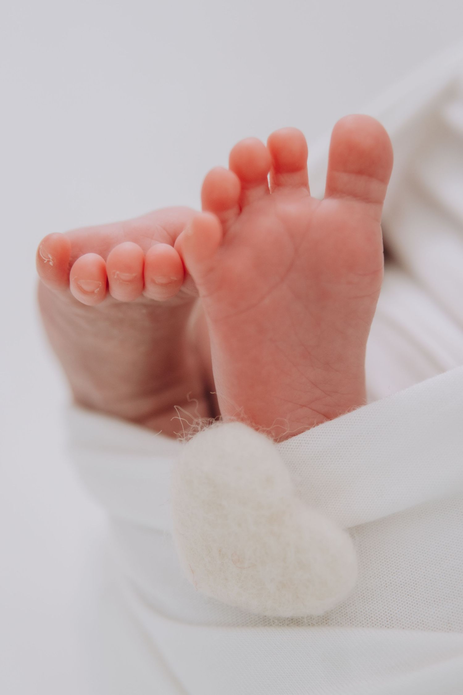 Tiny newborn baby feet wrapped in soft white blanket showing delicate pink toes.