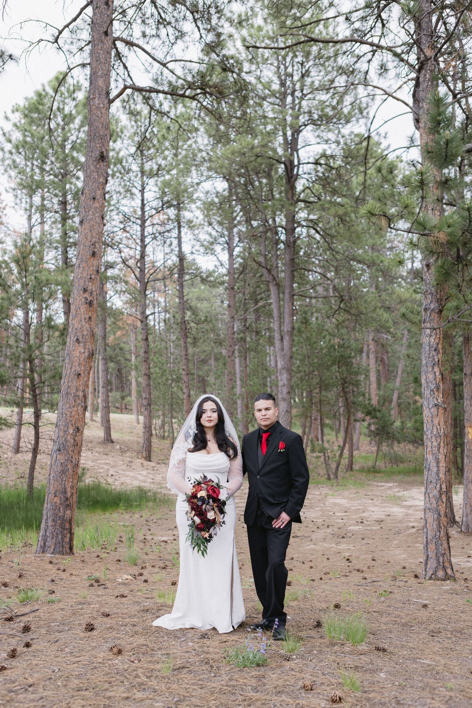Wedding couple poses in sequence of four artistic portrait shots among tall pine trees in a rustic forest setting.