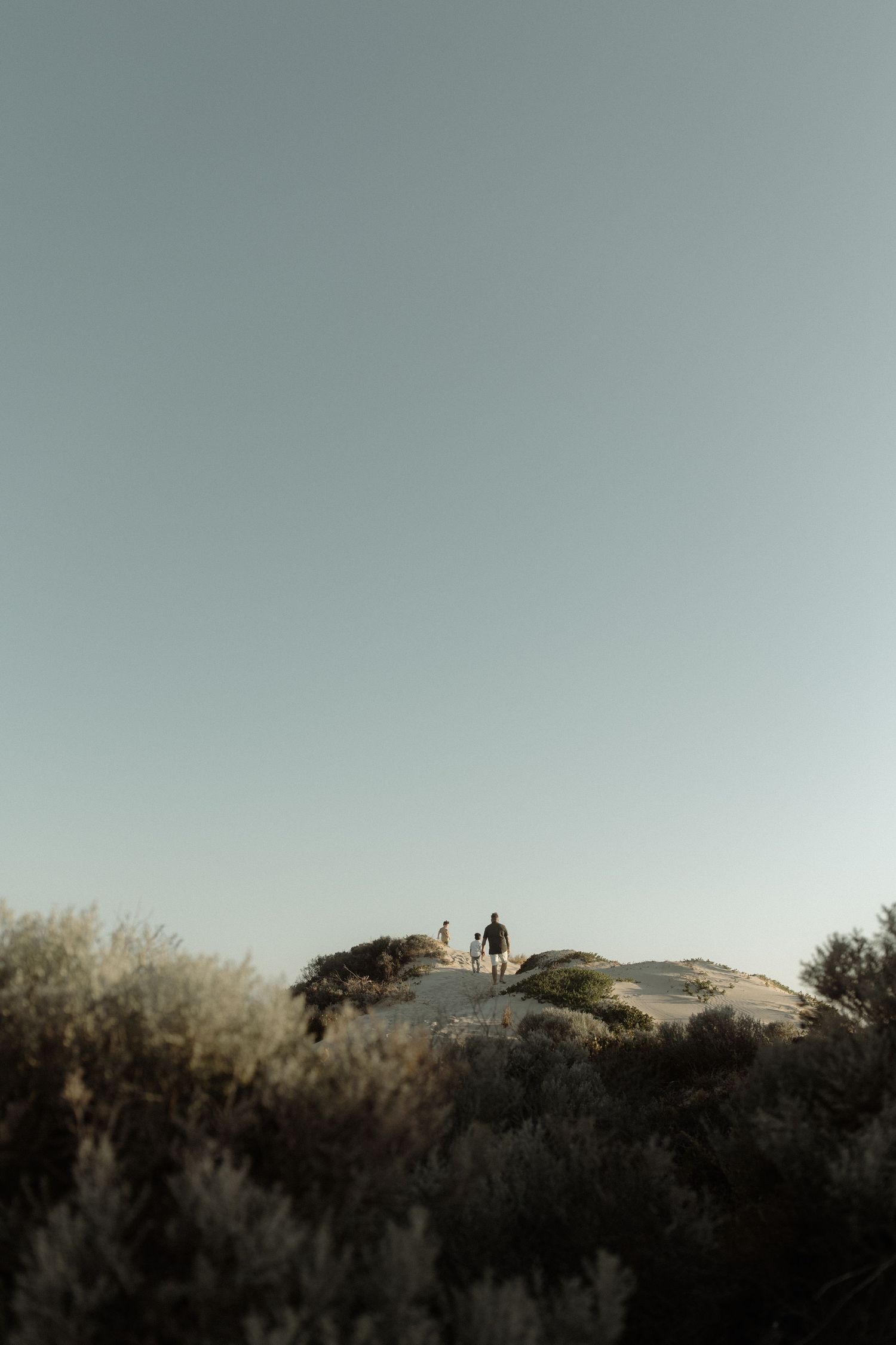 A distant figure stands on a hilltop against a clear sky during golden hour, surrounded by desert brush.