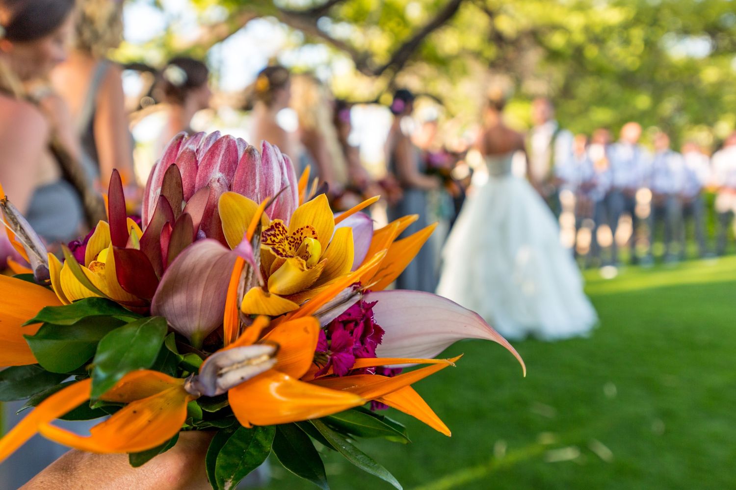 Vibrant wedding bouquet with orange lilies and pink protea in foreground, bride and guests blurred in sunny outdoor ceremony.