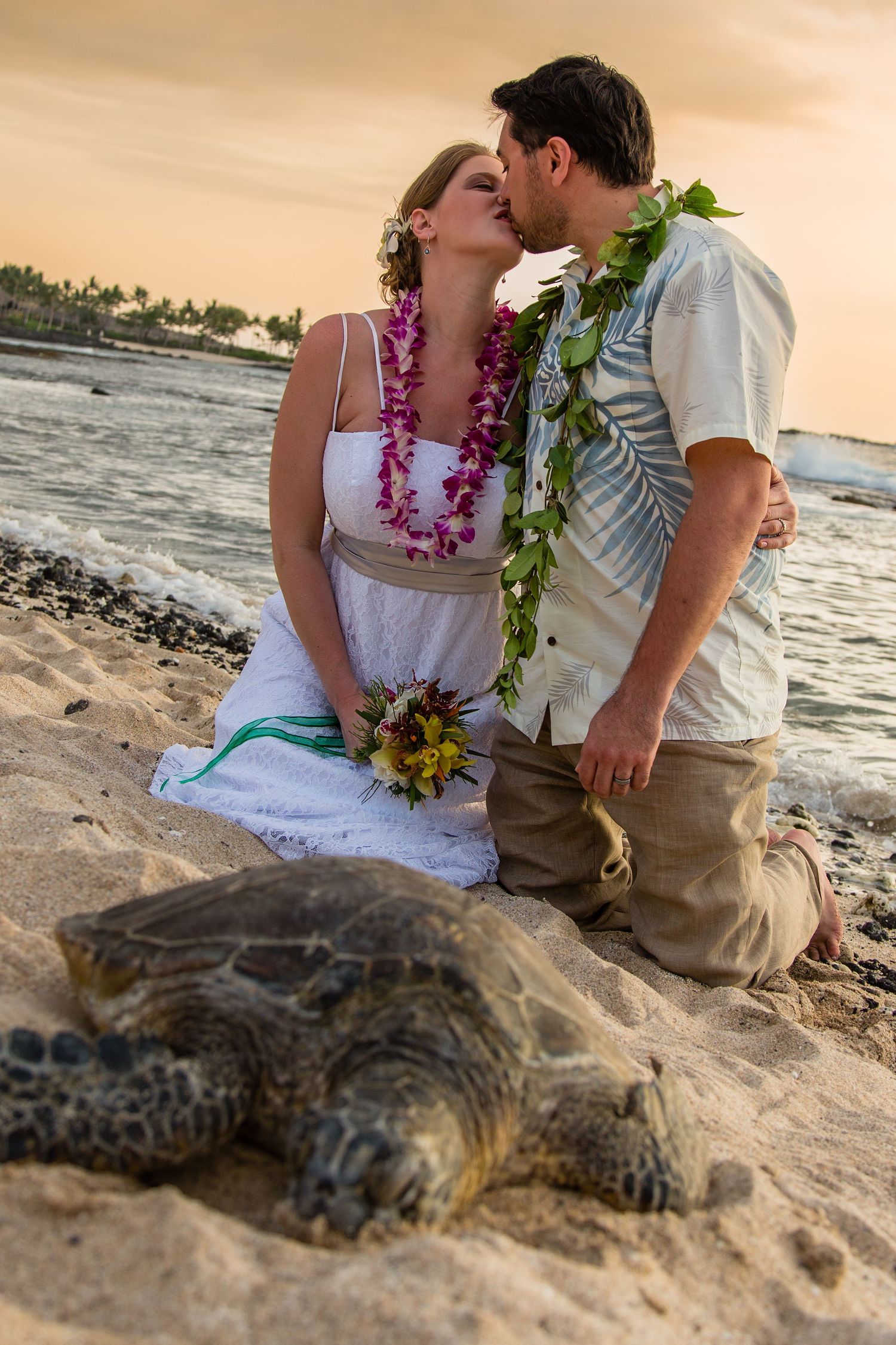 A couple wearing leis shares a romantic moment on a beach at sunset with a sea turtle nearby at Kukio beach in kailua Kona.