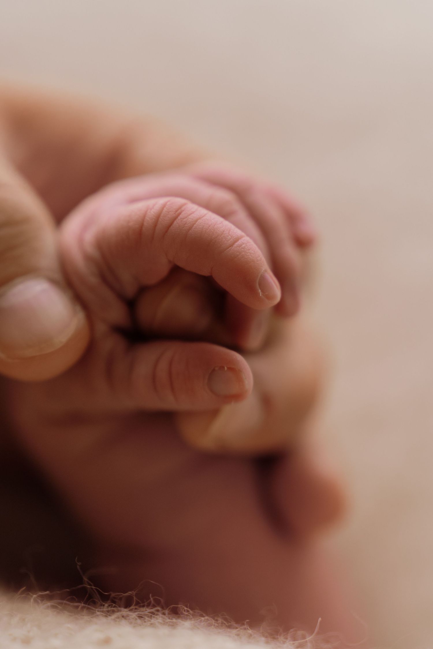 Close-up images of a baby's tiny fingers and toes showing the delicate details of newborn skin.