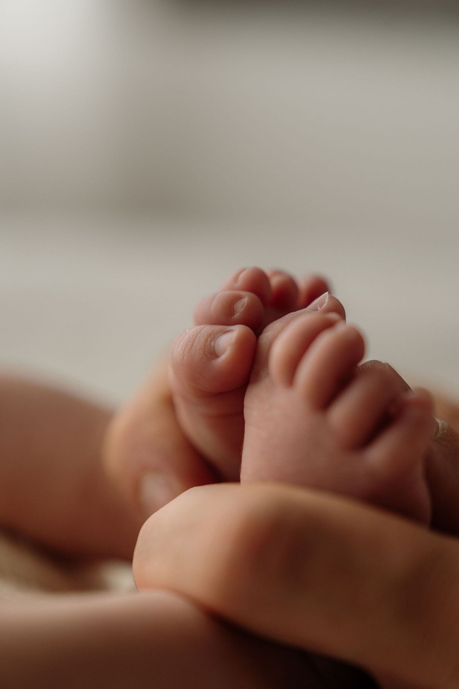 Six tiny toes of a newborn baby shown in a series of soft-focus close-up photos with blurred backgrounds.