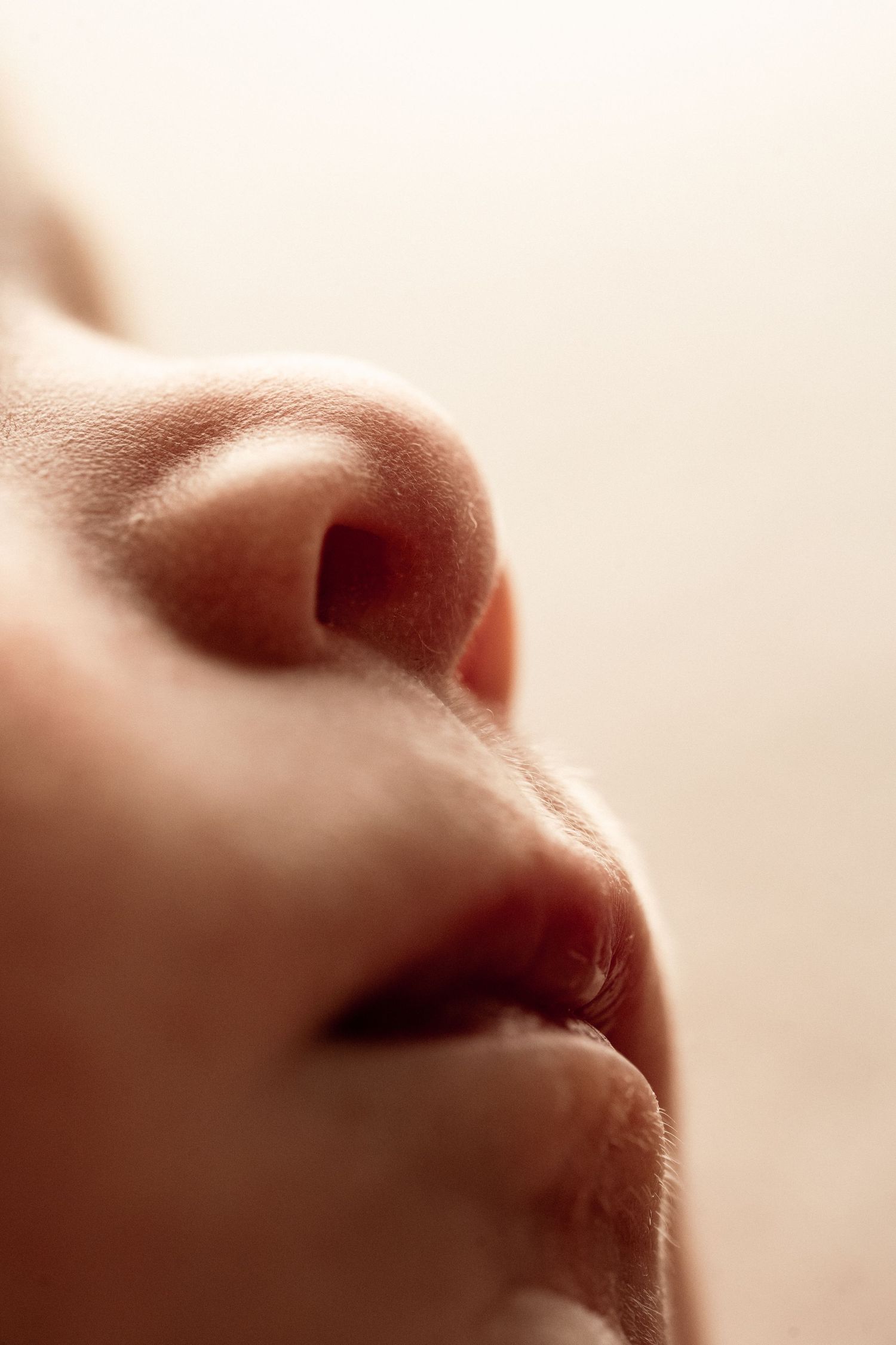 Close up macro shot of a nose and lips in soft morning light casting gentle shadows on skin.
