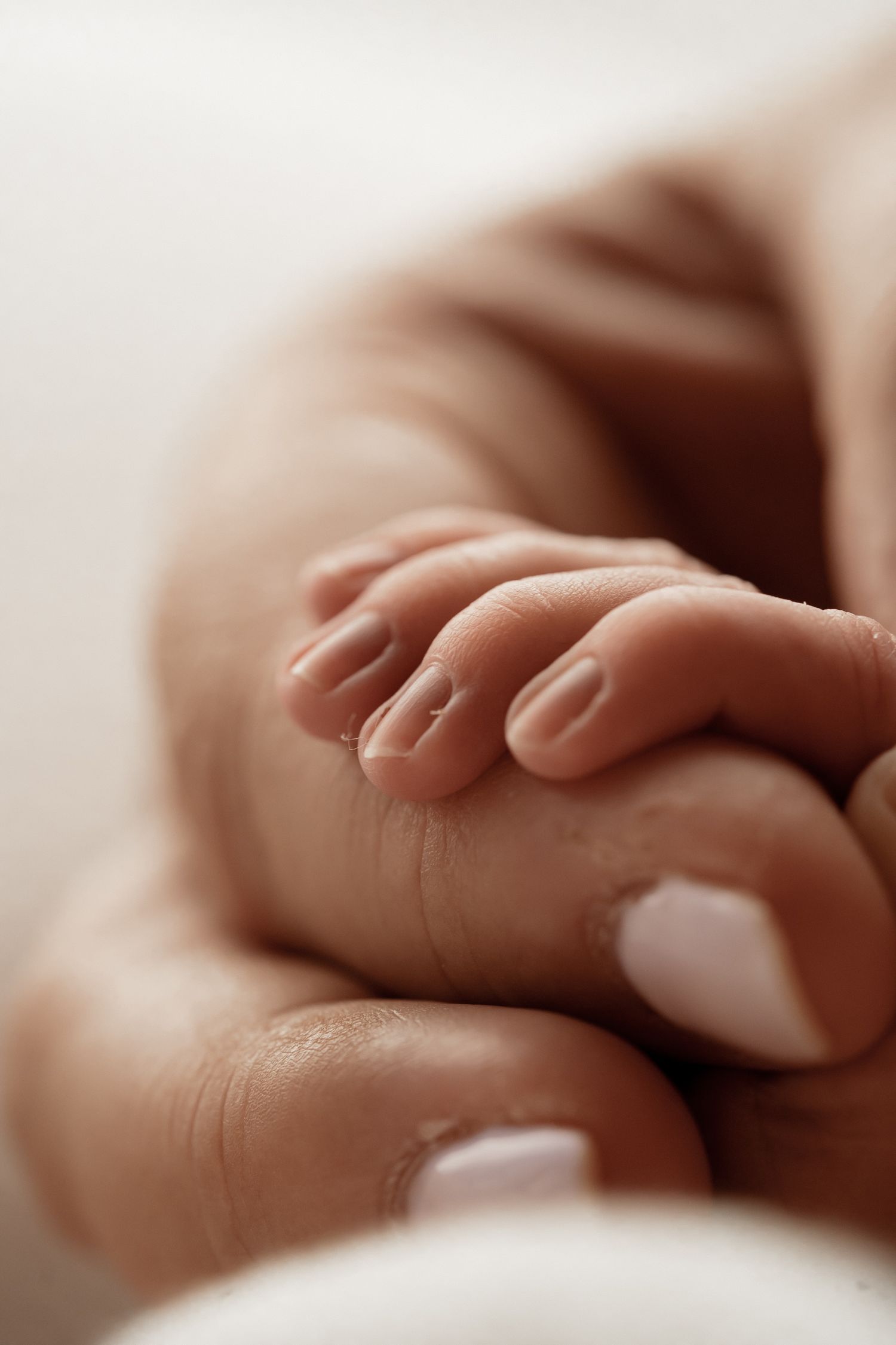 Close-up view of a newborn baby's tiny hand gently grasping an adult's finger in warm natural lighting.