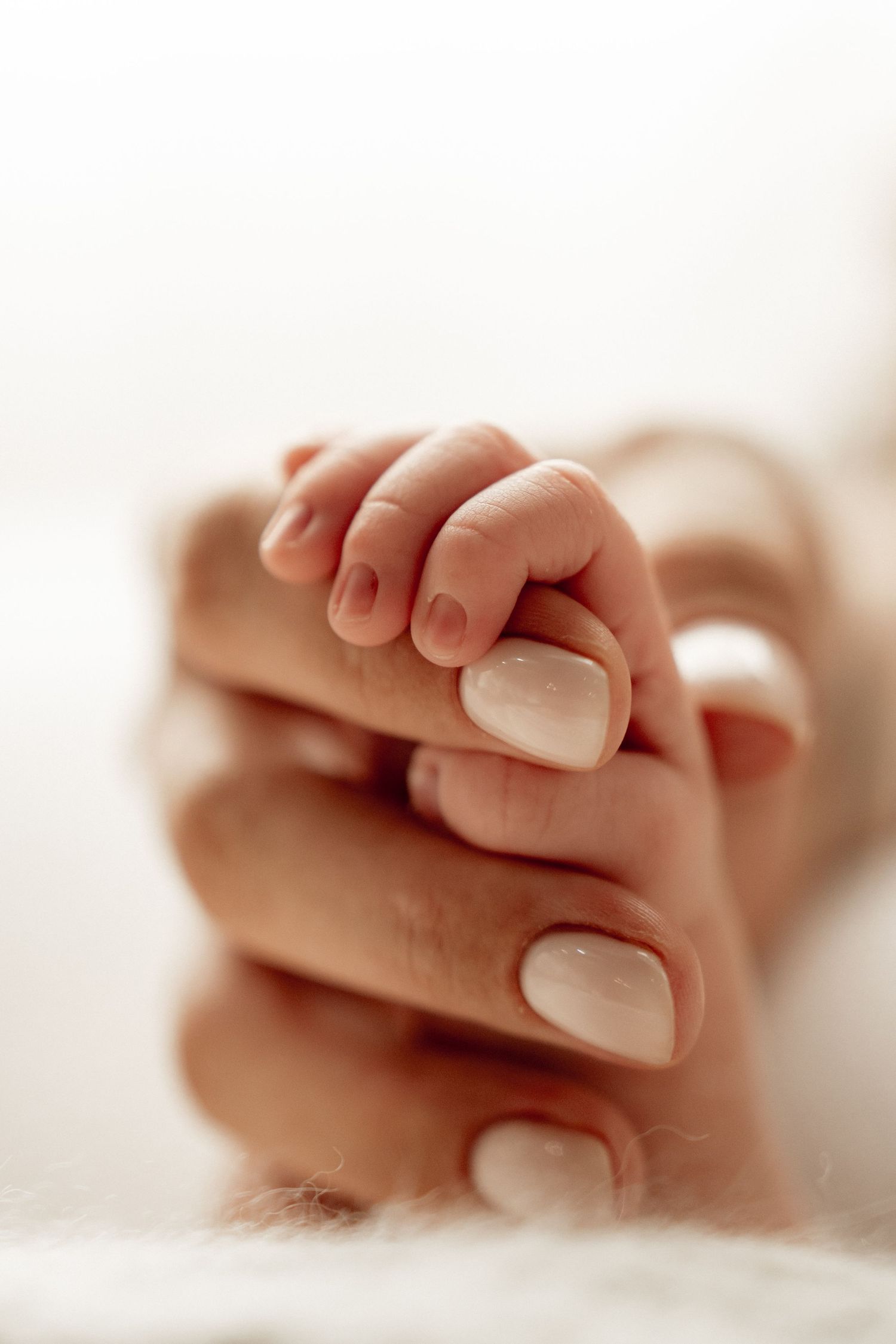 A newborn baby's tiny hand gently gripping an adult's finger, symbolizing love and new life.