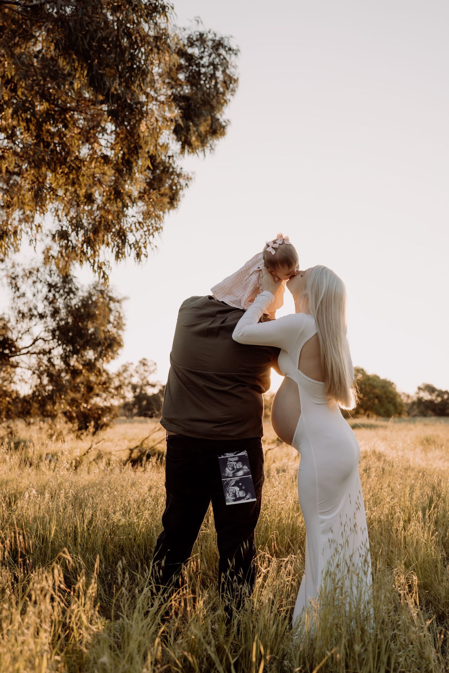 A romantic couple embraces in a golden field at sunset with a tree silhouetted in the background.
