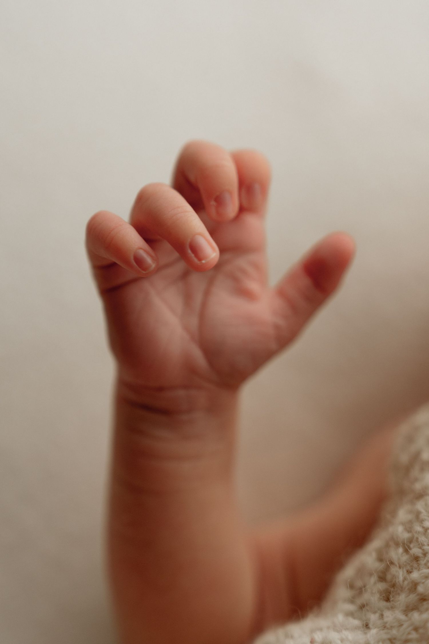 Tiny newborn baby fingers and hand grasping against a soft white background.