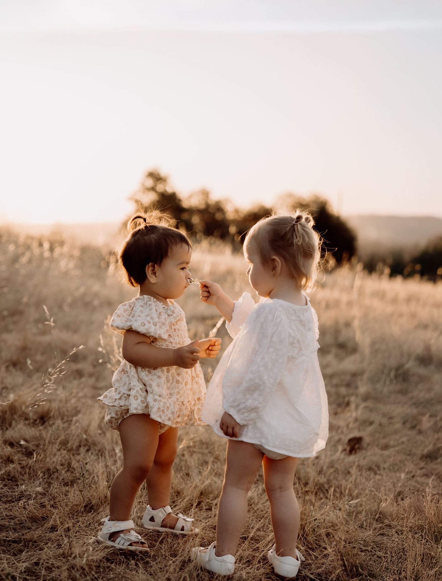 Two toddlers in white dresses stand together in a sunlit field during golden hour.