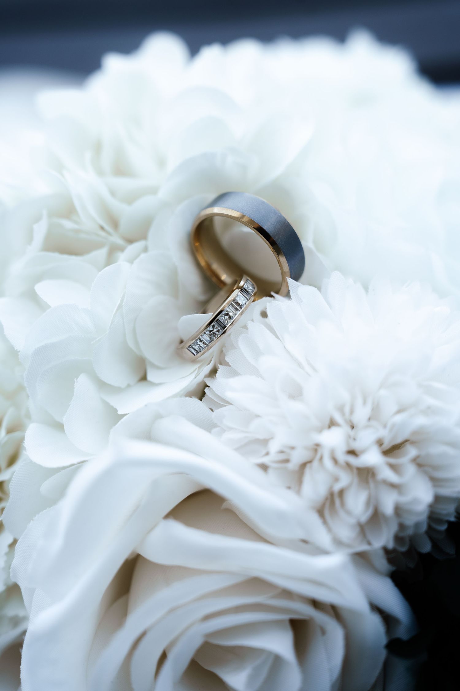 Wedding rings nestled among delicate white rose petals in an elegant macro photography composition.
