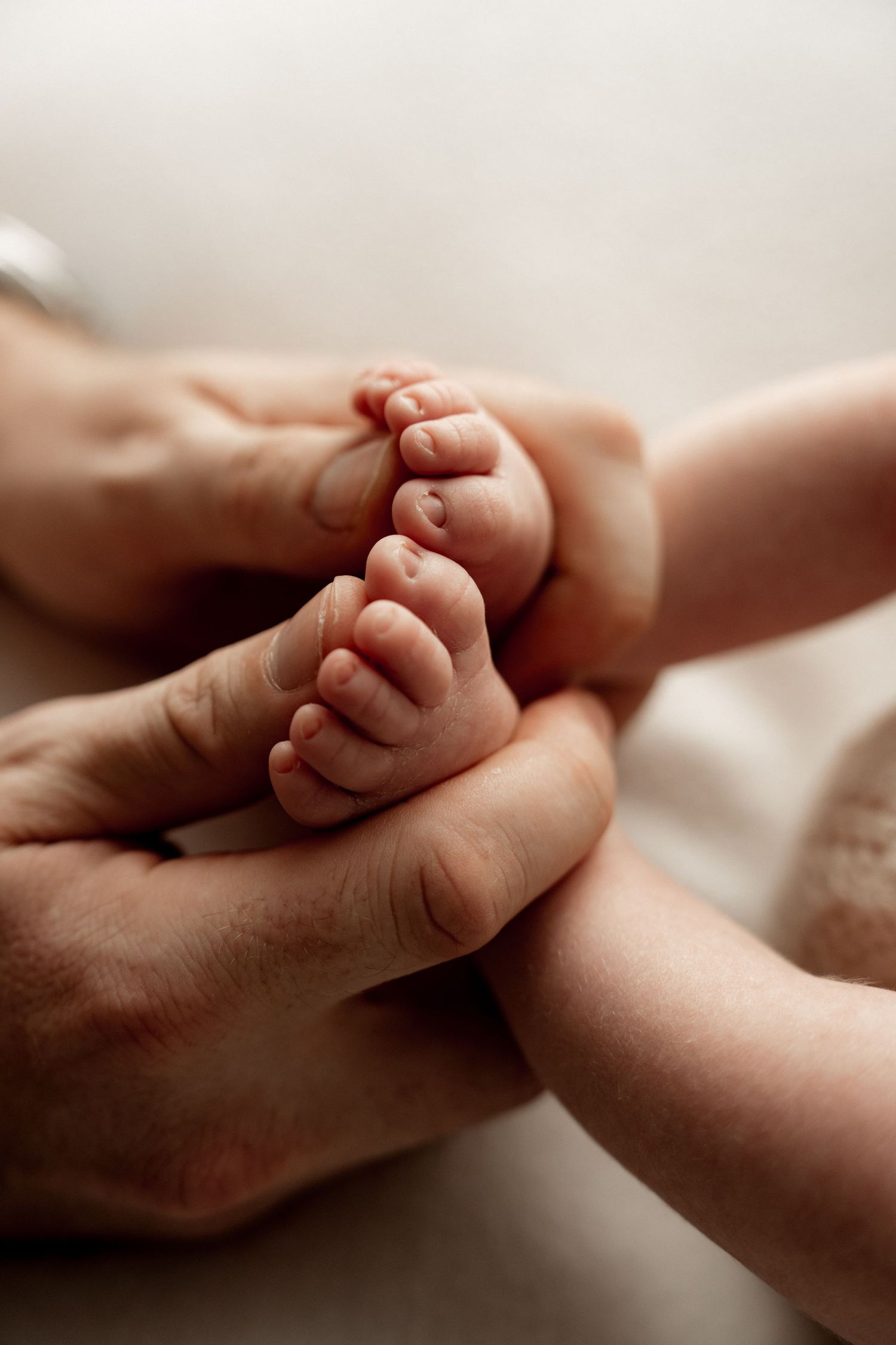 Adult hands gently cradling tiny newborn baby feet, showcasing the delicate size difference between parent and infant.