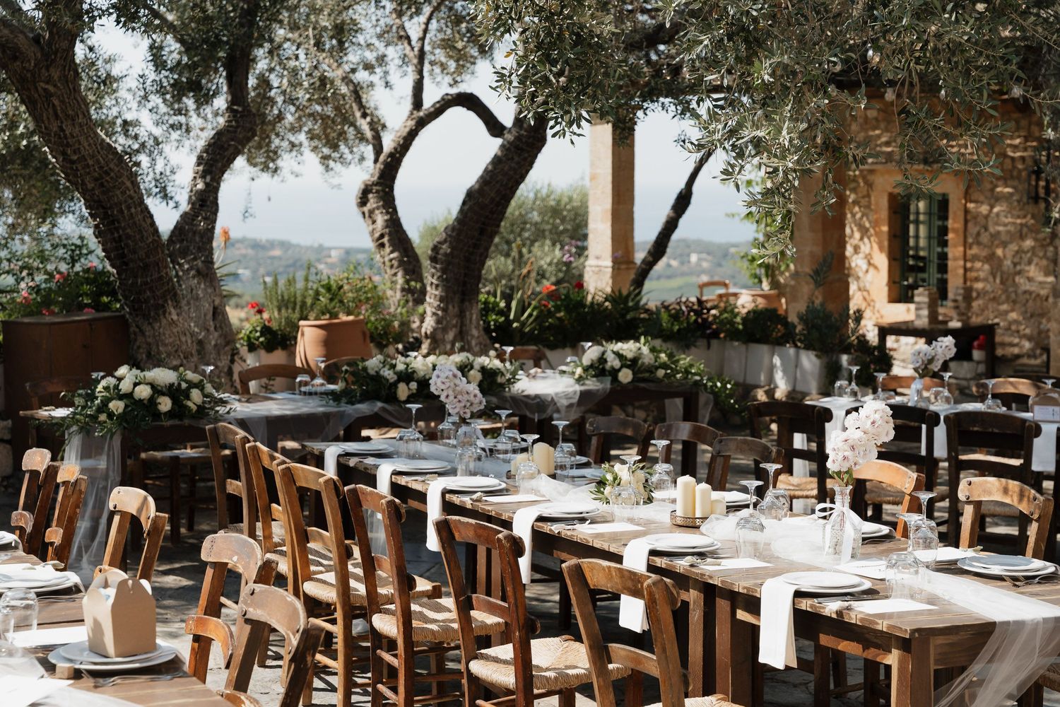 Elegant outdoor wedding reception setup with rustic wooden tables and chairs under Mediterranean olive trees.