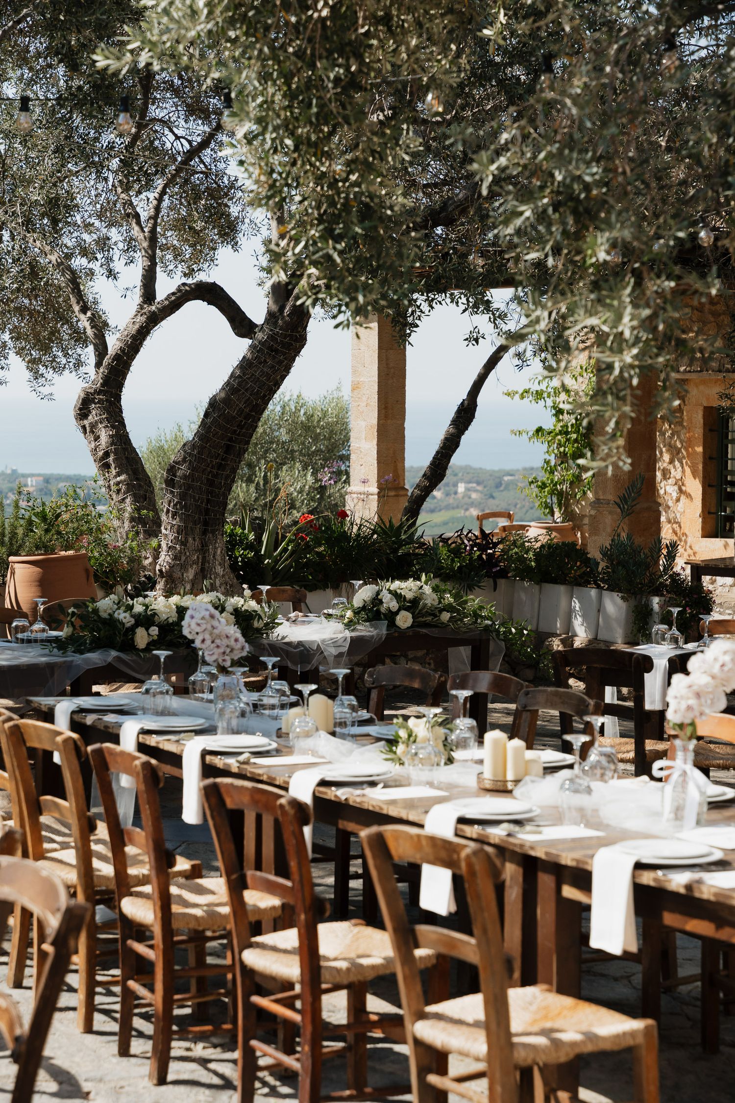 Mediterranean outdoor restaurant terrace with wooden tables and chairs under olive trees overlooking scenic coastal views.