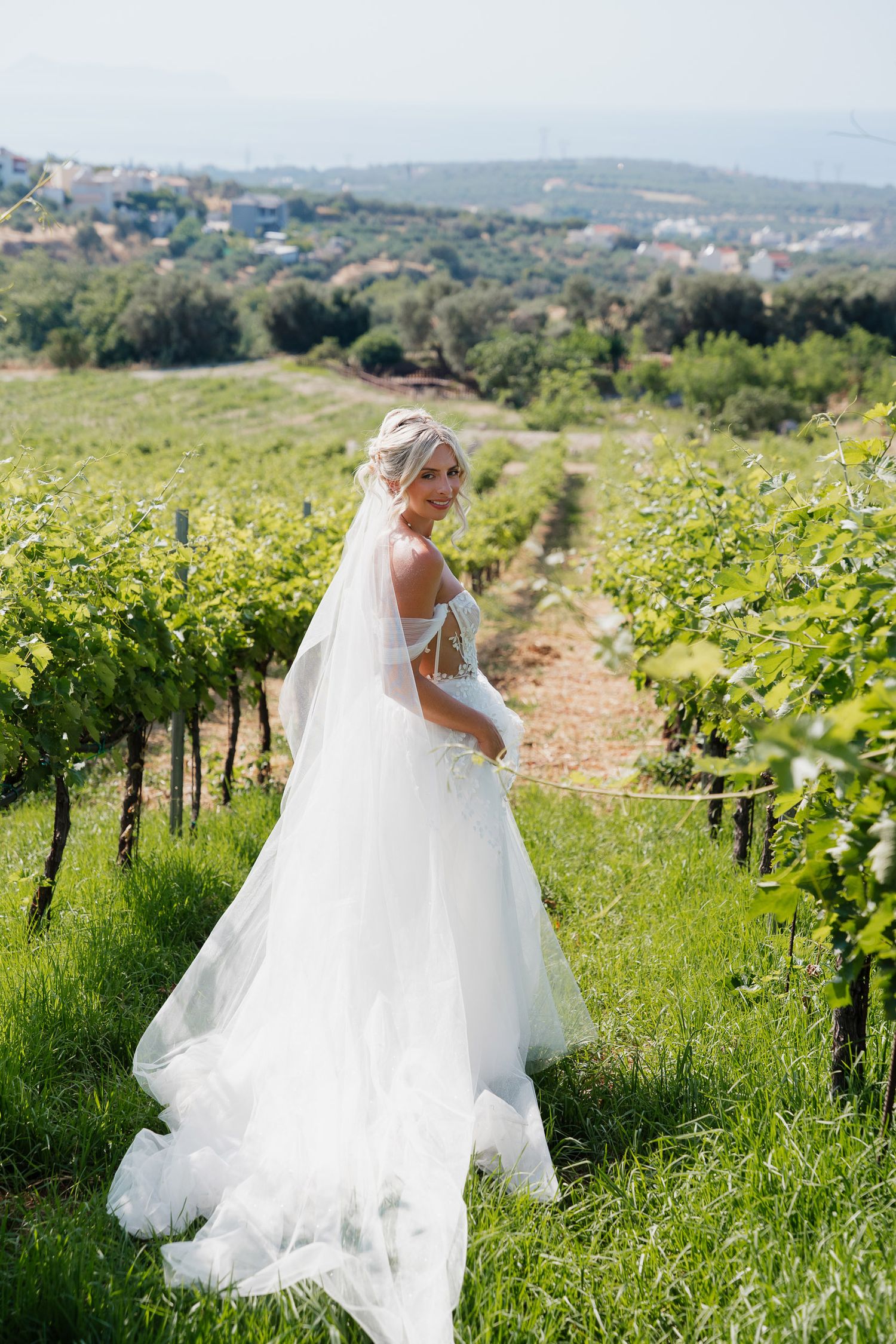 A bride in a flowing white wedding dress stands among vineyard rows on a hillside overlooking a scenic countryside landscape.