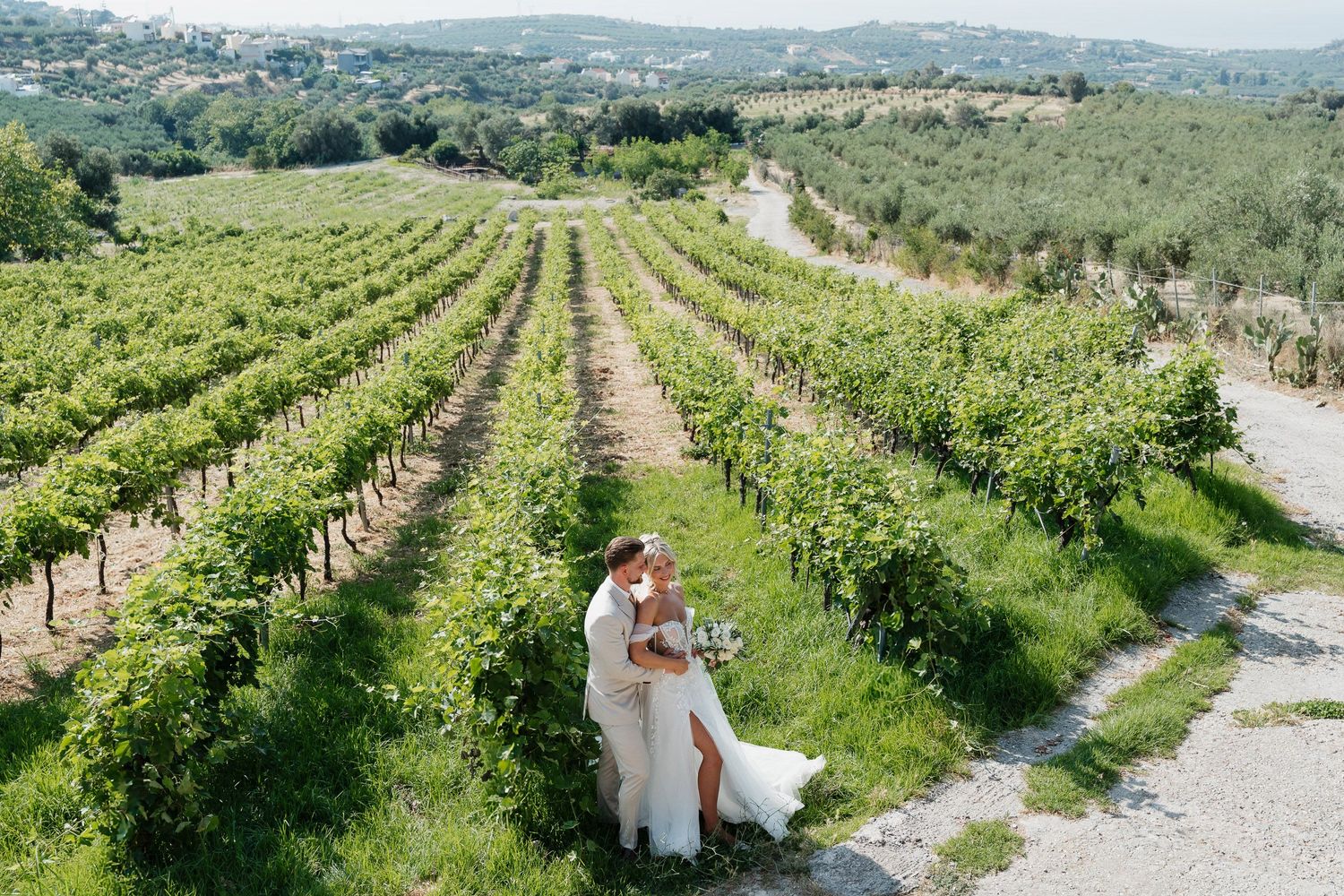 Scenic vineyard rows stretch across rolling hills in the Italian countryside with olive groves in the distance.