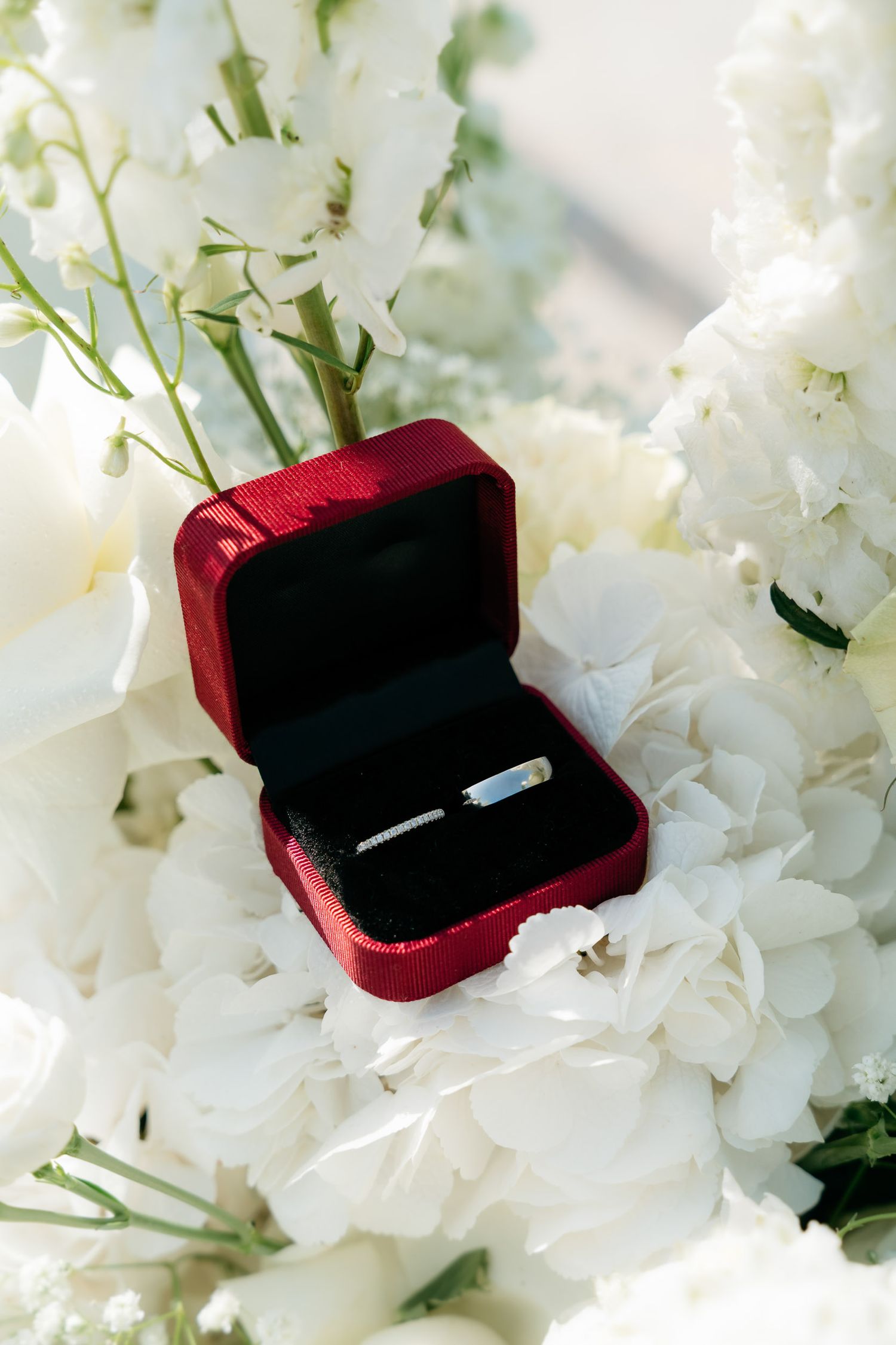 A diamond engagement ring in a red velvet box nestled among delicate white flowers and petals.