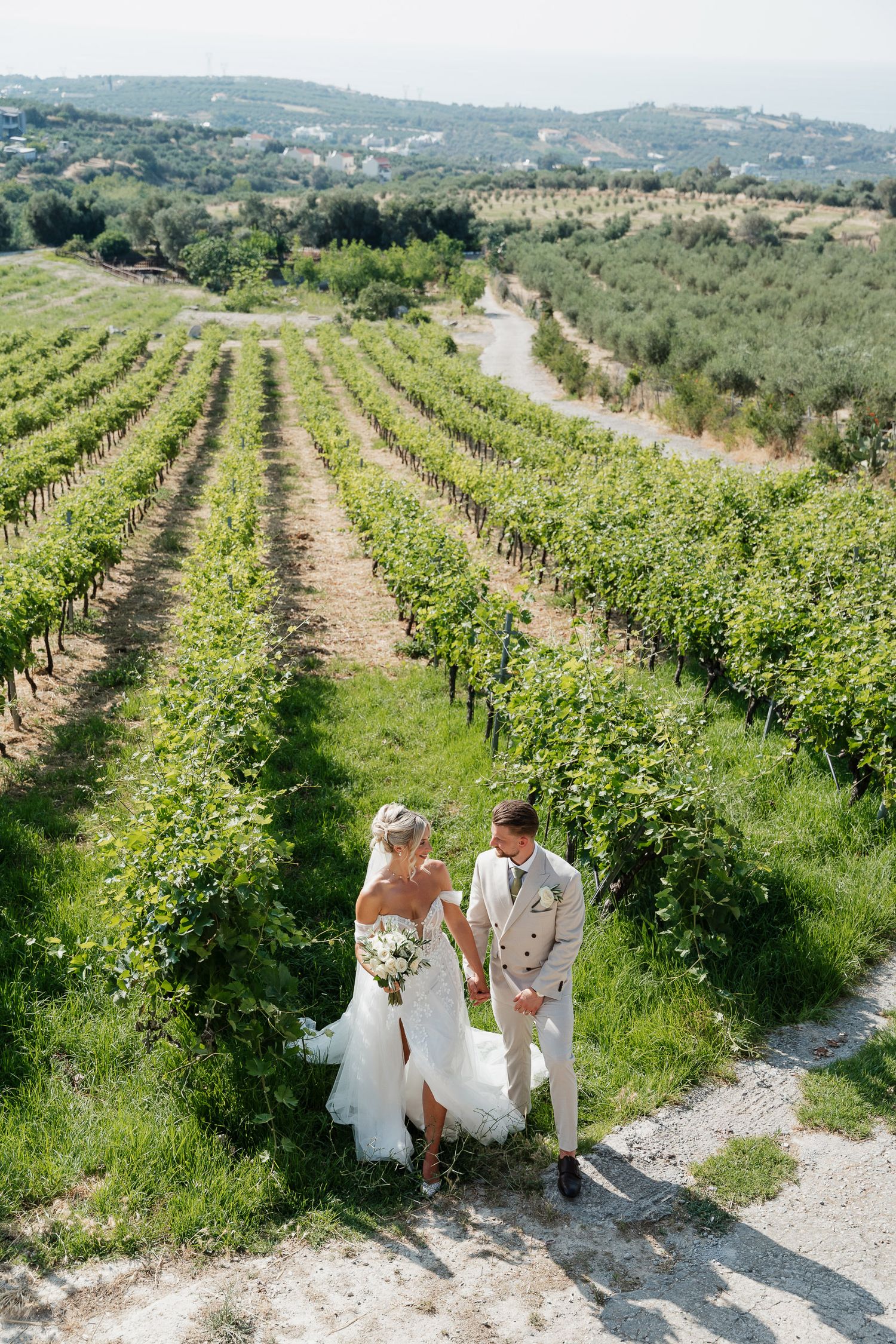 Scenic vineyard rows stretch across rolling Tuscan hills with olive groves visible in the distance on a sunny day.