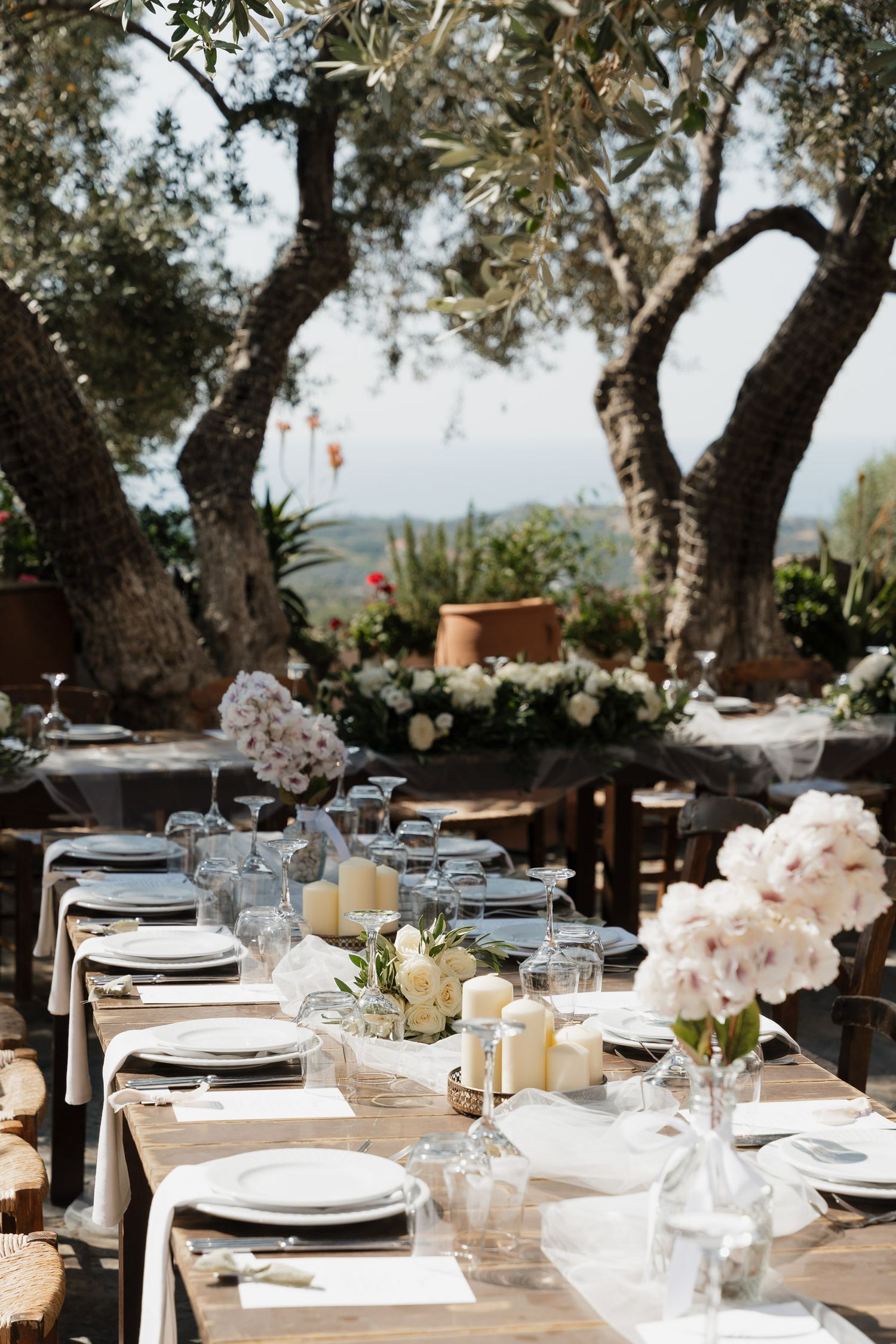 Elegant outdoor wedding reception tables set under olive trees with white linens, floral centerpieces and rustic decor.