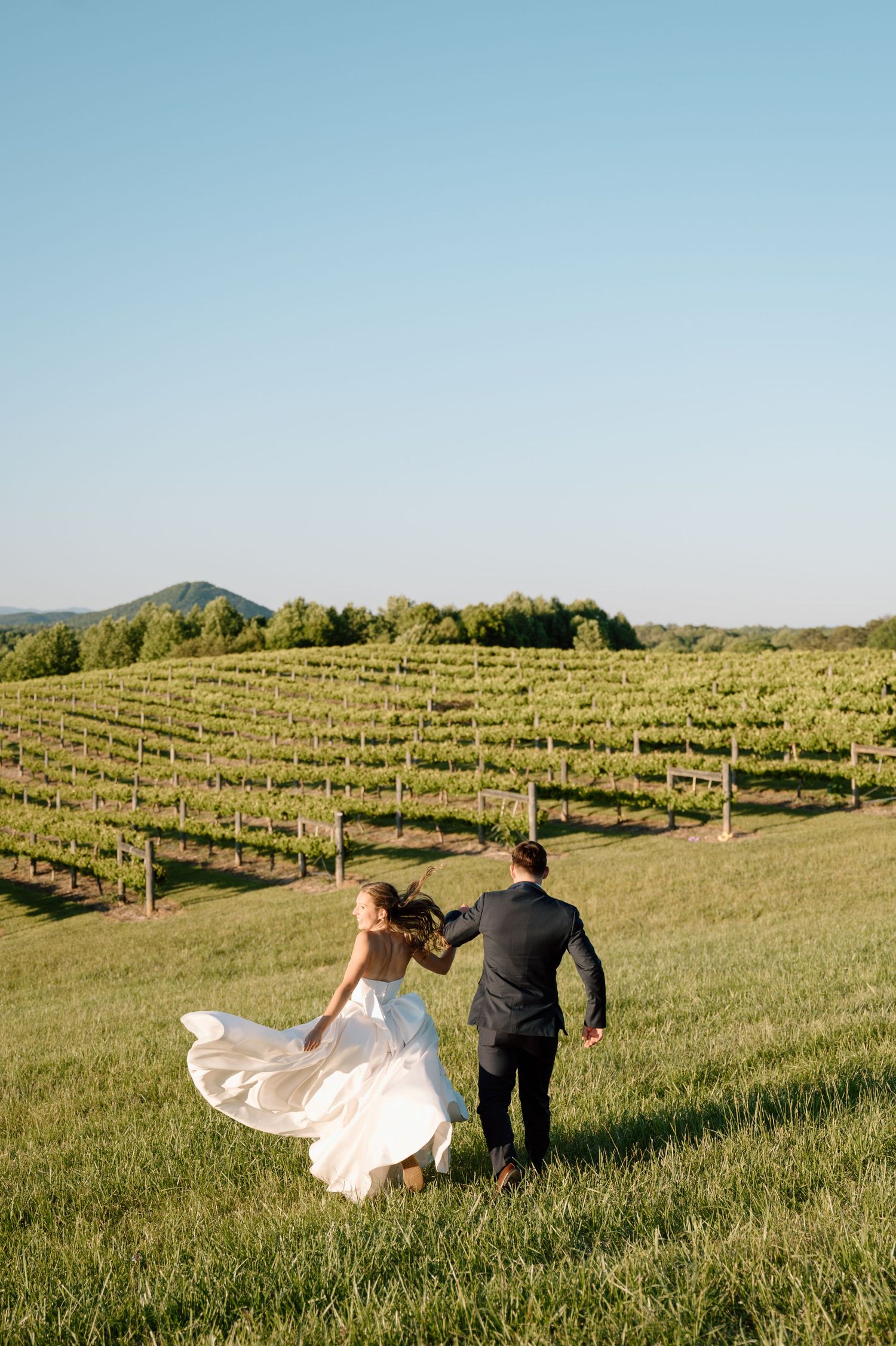 Bride and groom walking hand in hand through lush vineyard rows under clear blue sky on their wedding day.