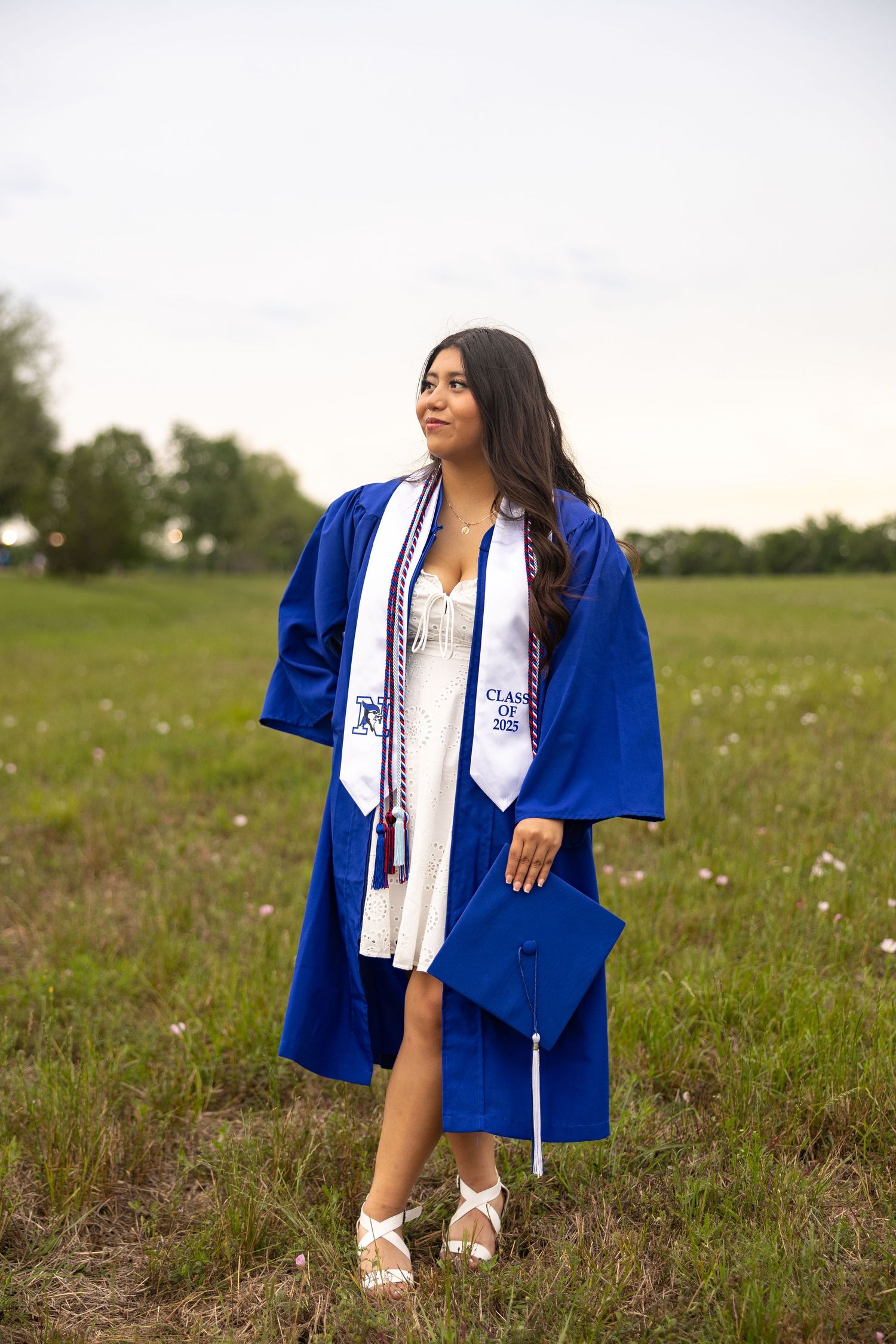 Graduate in bright blue cap and gown with decorative stole standing in grassy field at sunset.