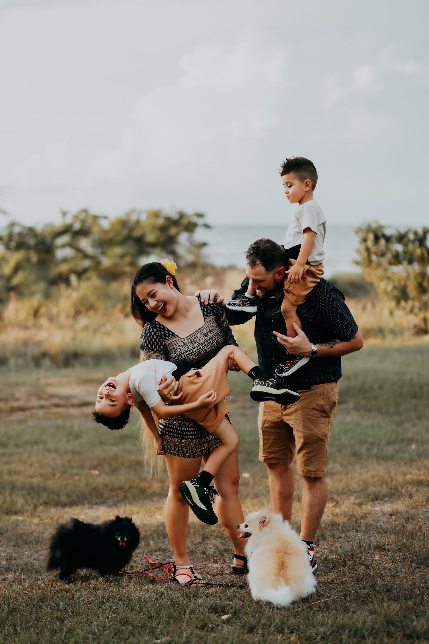 Joyful mixed family playing outdoors with two Pomeranian dogs, parents lifting children in grassy field.