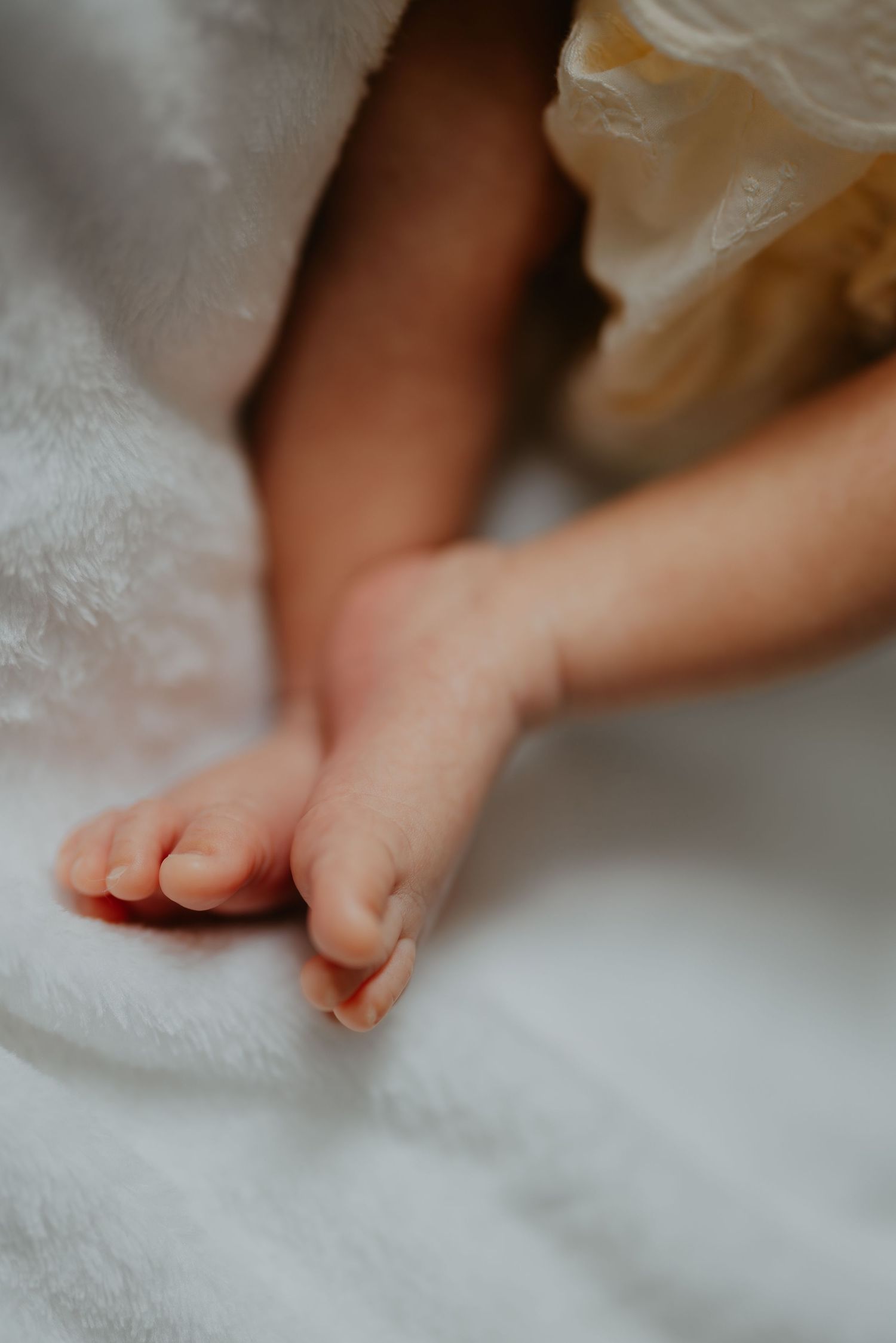 Close-up of tiny newborn baby feet resting on a soft white blanket.