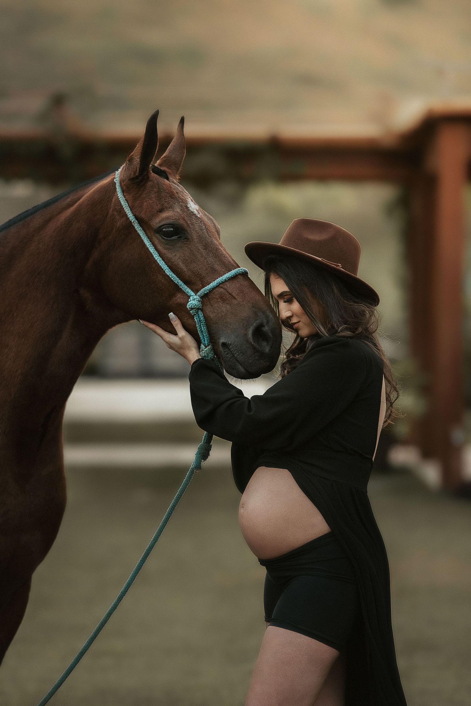 A brown horse with a turquoise lead rope shares a tender moment with someone wearing a brown hat and black outfit.