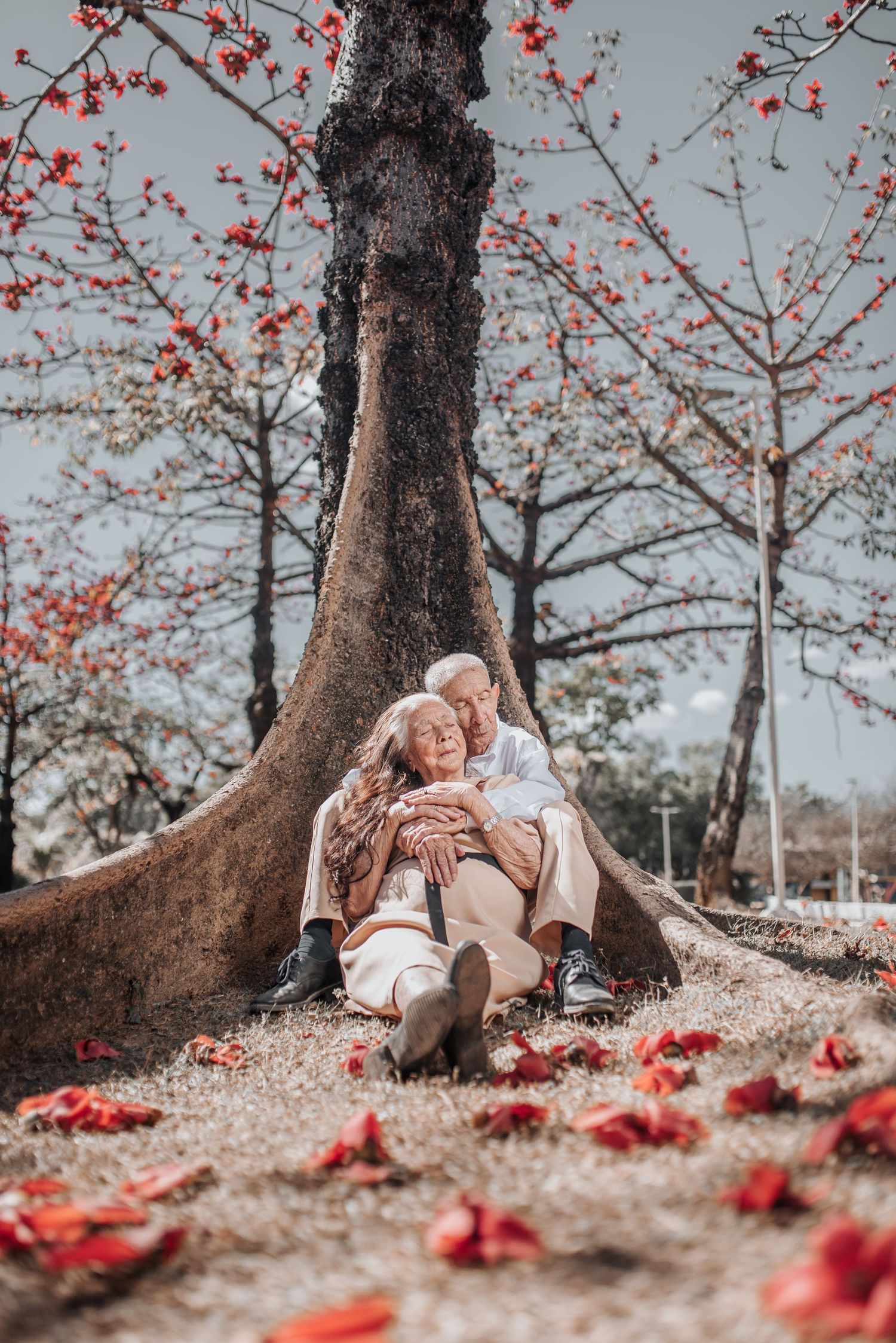 Romantic couple resting against tree trunk with red flowers scattered on ground.