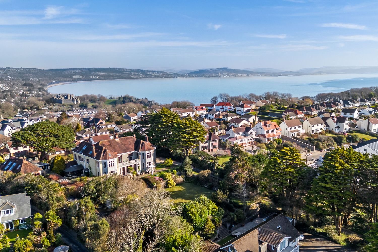 Aerial view of a coastal town with houses nestled among trees overlooking a serene bay.