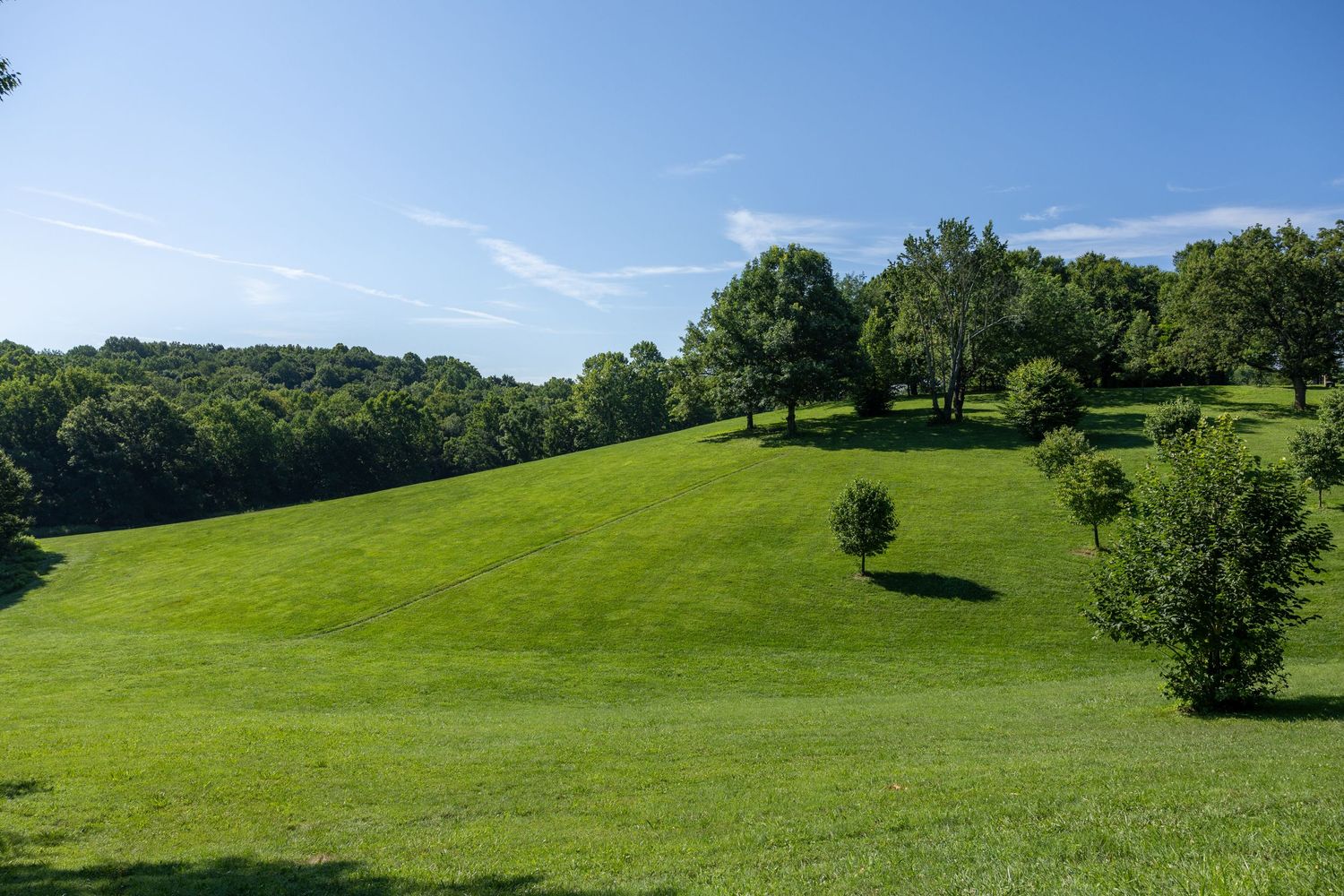 Rolling green hillside with scattered trees under blue summer sky.