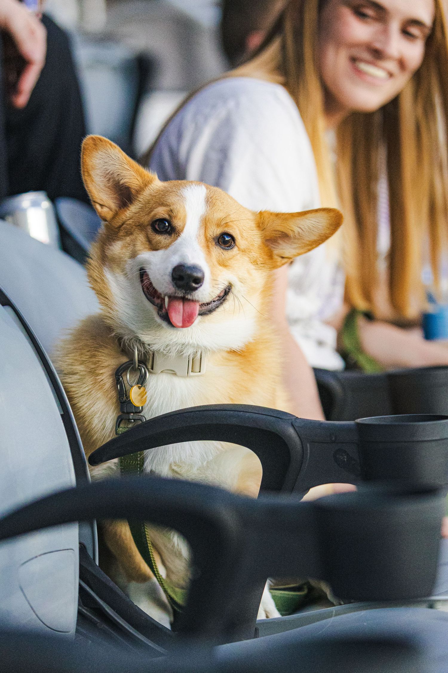 A happy Corgi dog with tongue out sits in a golf cart, with a smiling woman in the background.