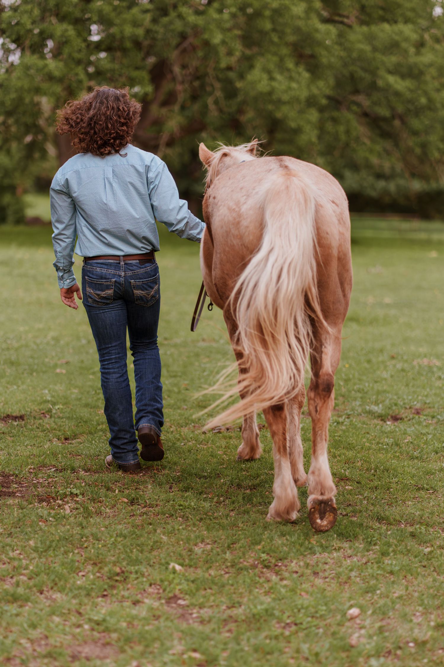 Woman in jeans and blue shirt walking alongside a palomino horse on green grass.