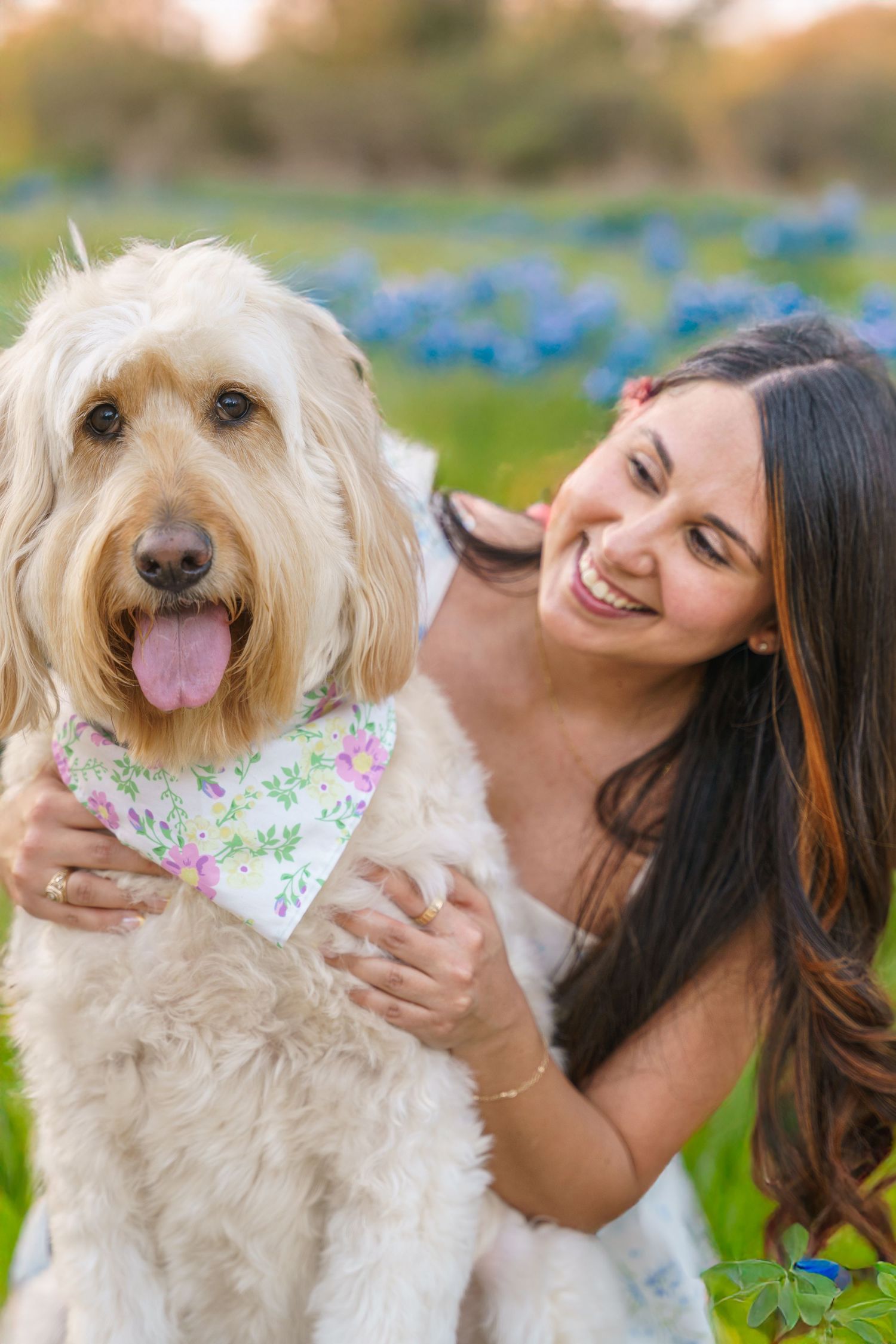Woman and goldendoodle dog sharing affectionate moments in field of bluebonnets.