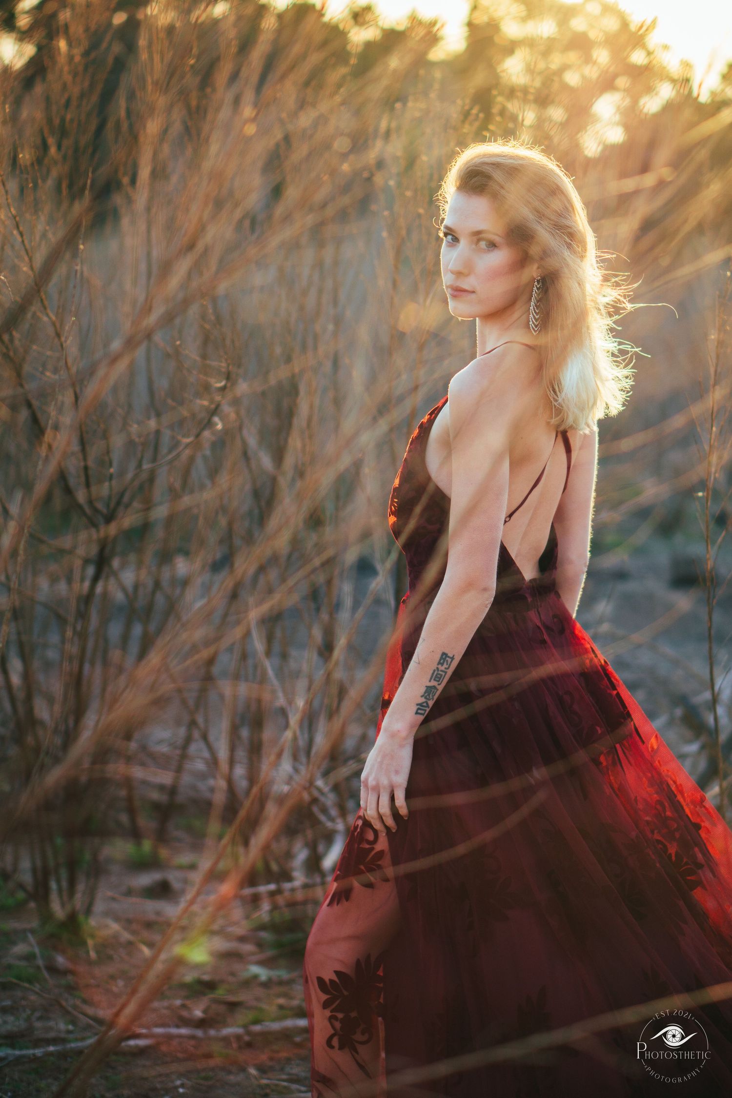 Artistic outdoor portrait of a tattooed woman in a flowing gown, captured in warm natural light.