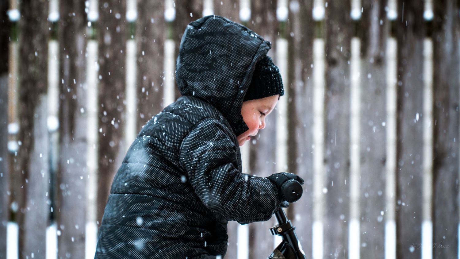 Snow falls heavily in a dark winter forest with silhouettes of trees in the background.