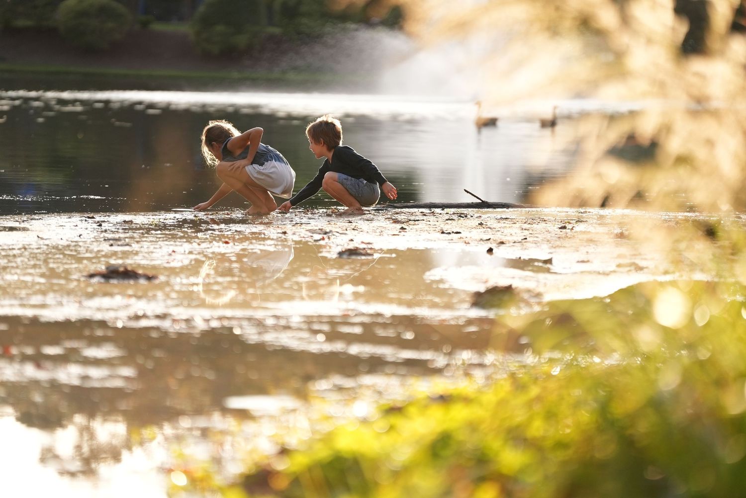 Kids playing at pond