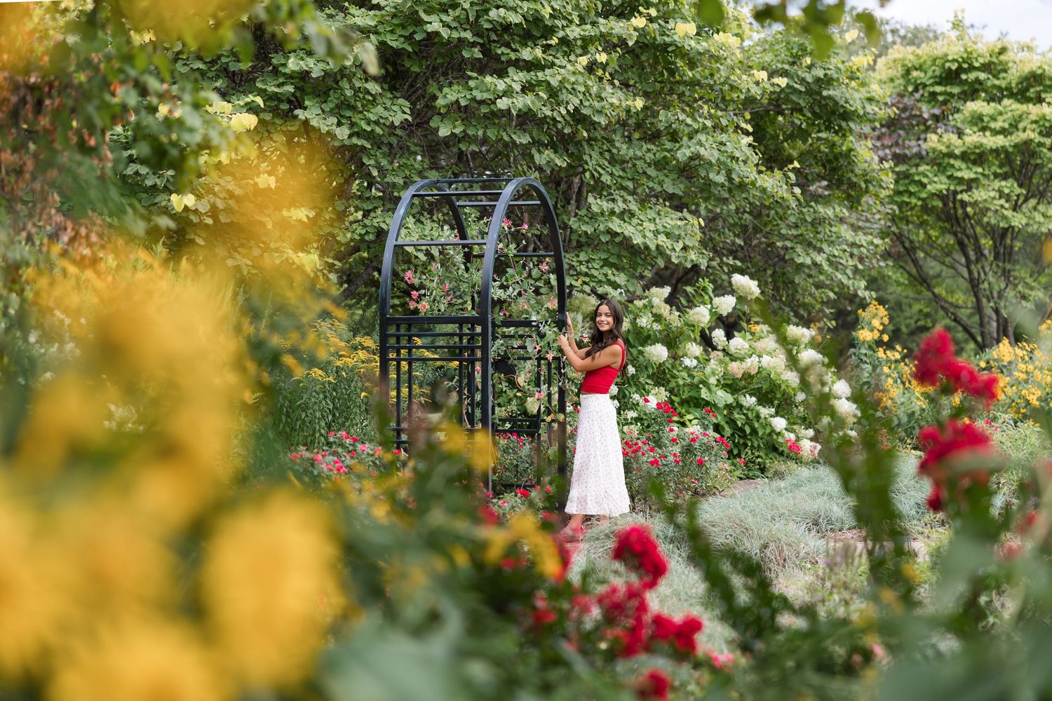 Lush garden path with blooming red roses and green foliage creating a romantic walkway atmosphere.