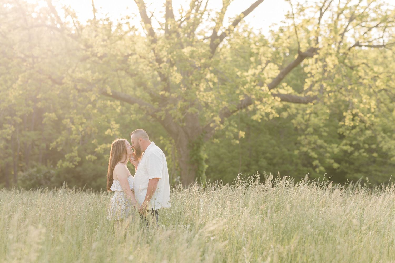 A couple stands together in a sunlit meadow of tall grass during golden hour with trees in the background.