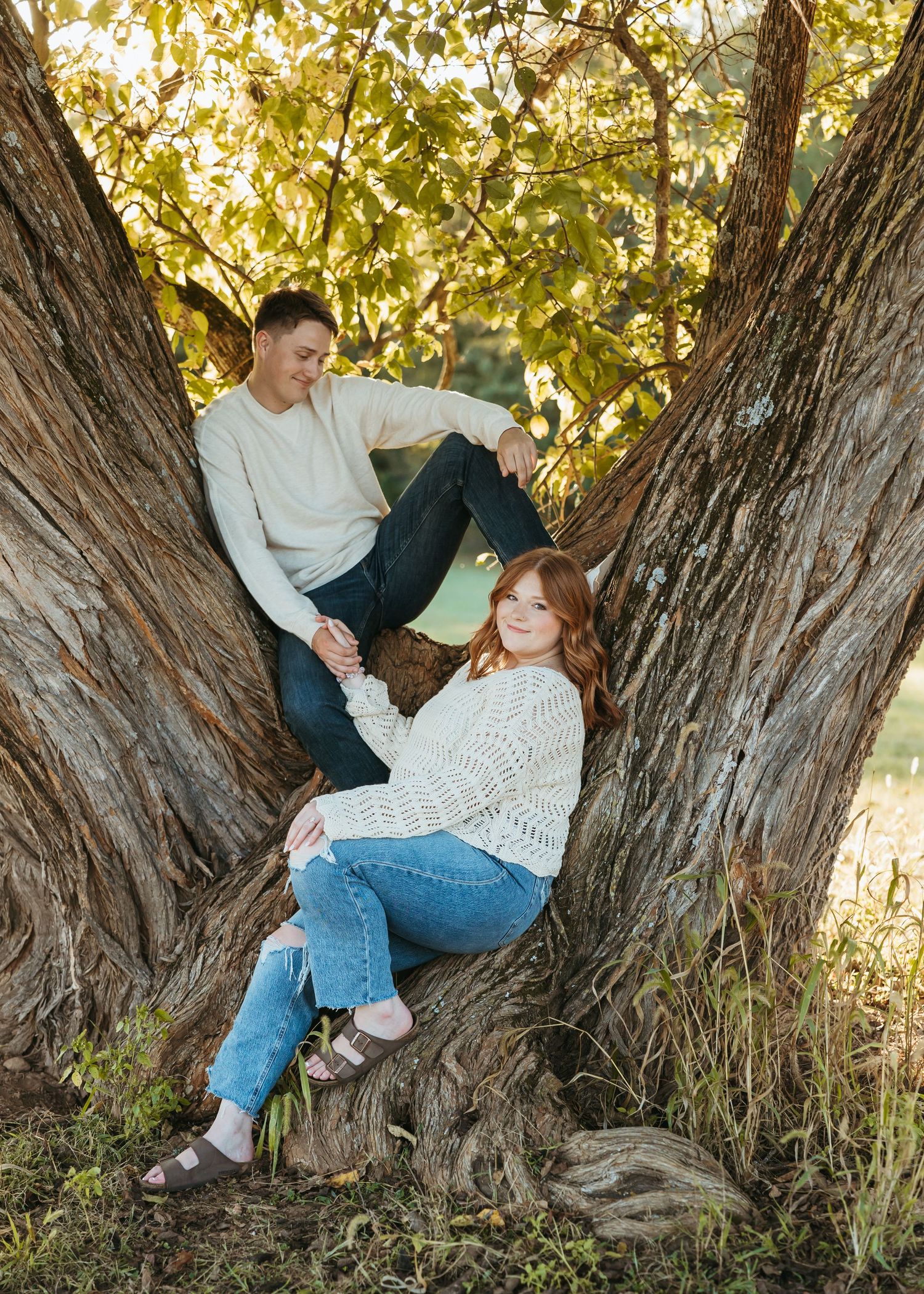 Two people relaxing in the natural V-shape of a large tree trunk during golden hour.